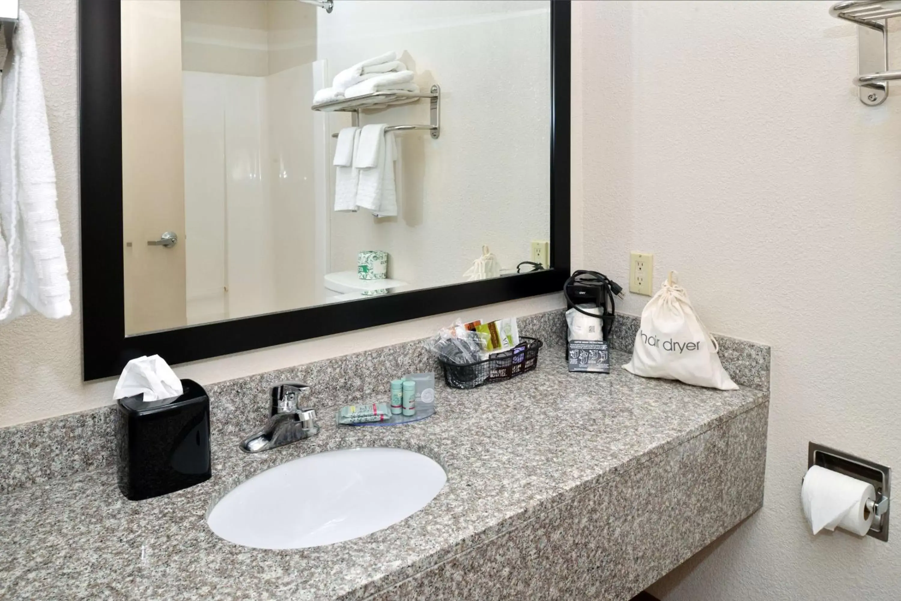 Bathroom in Best Western Big Spring Lodge