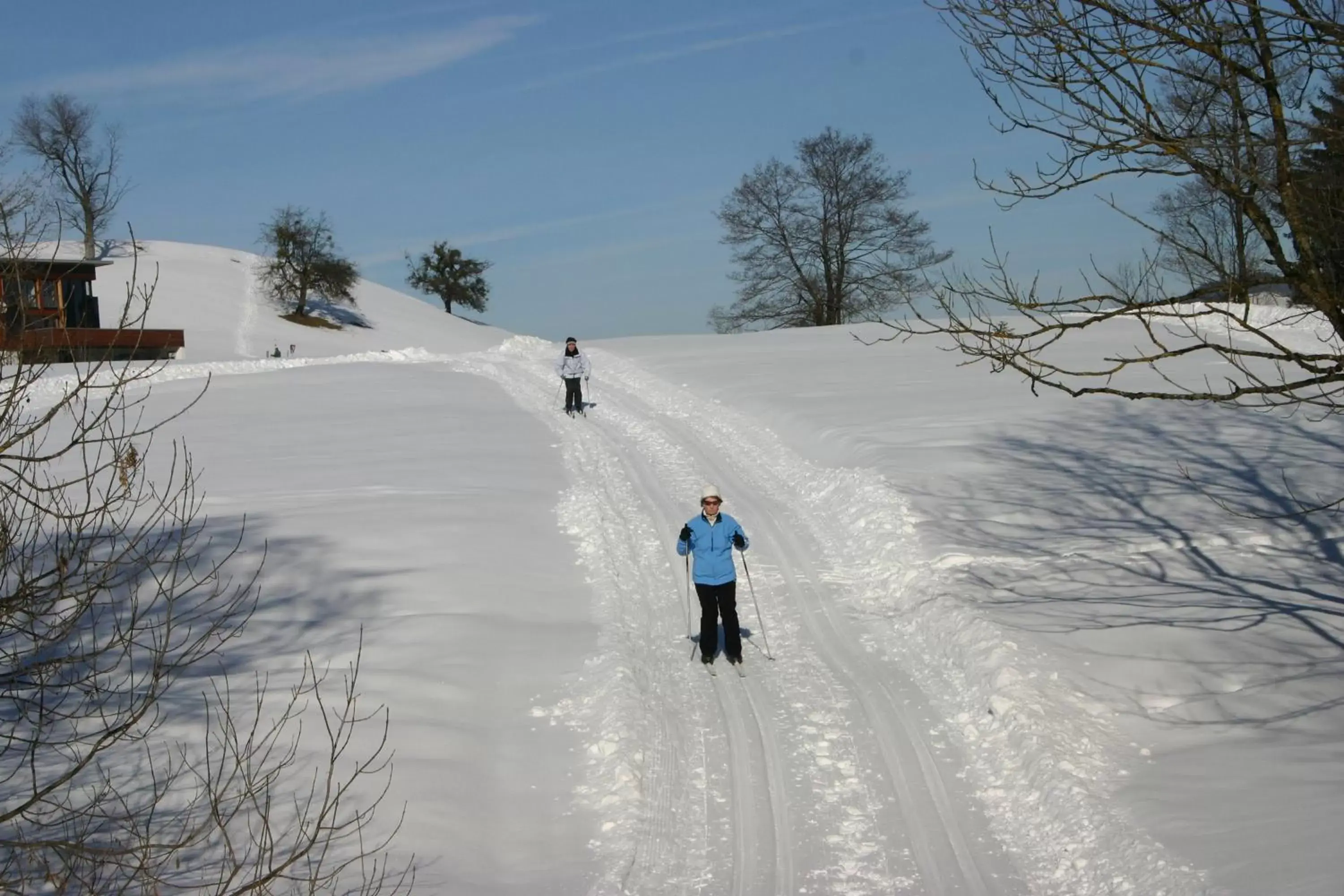 Area and facilities, Skiing in Hotel Engel