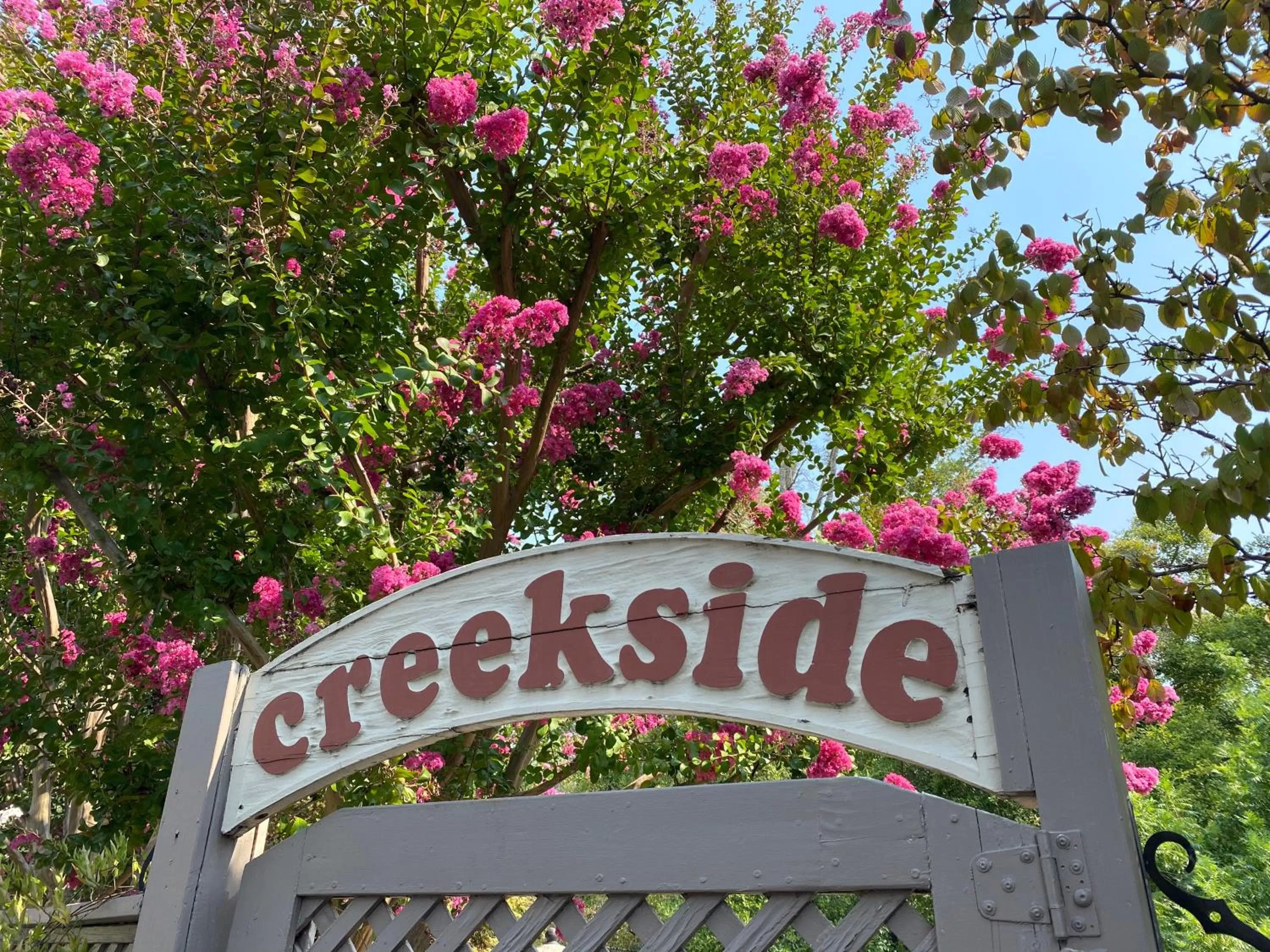 Patio in The Jack London Lodge