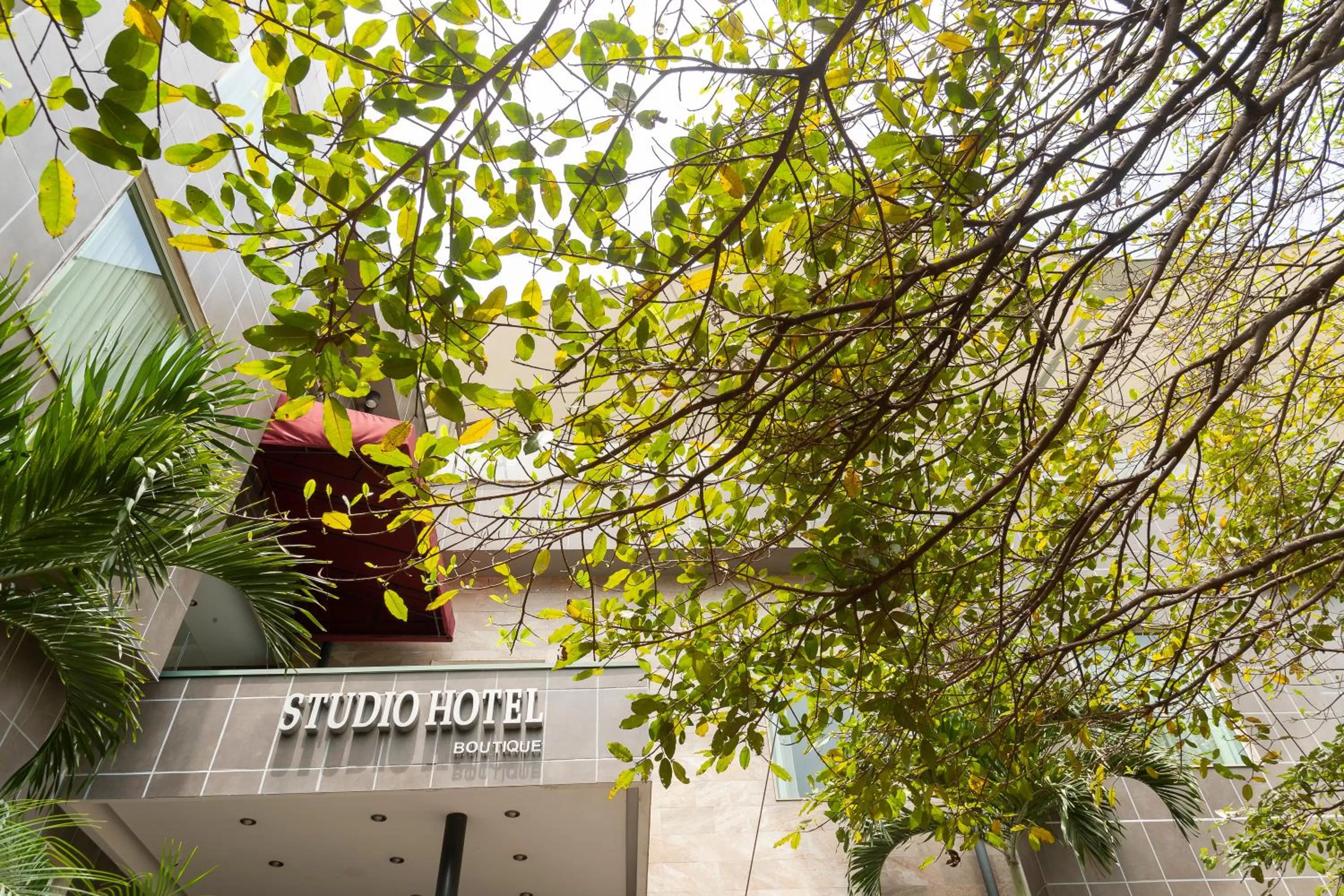 Property building in Studio Hotel Boutique