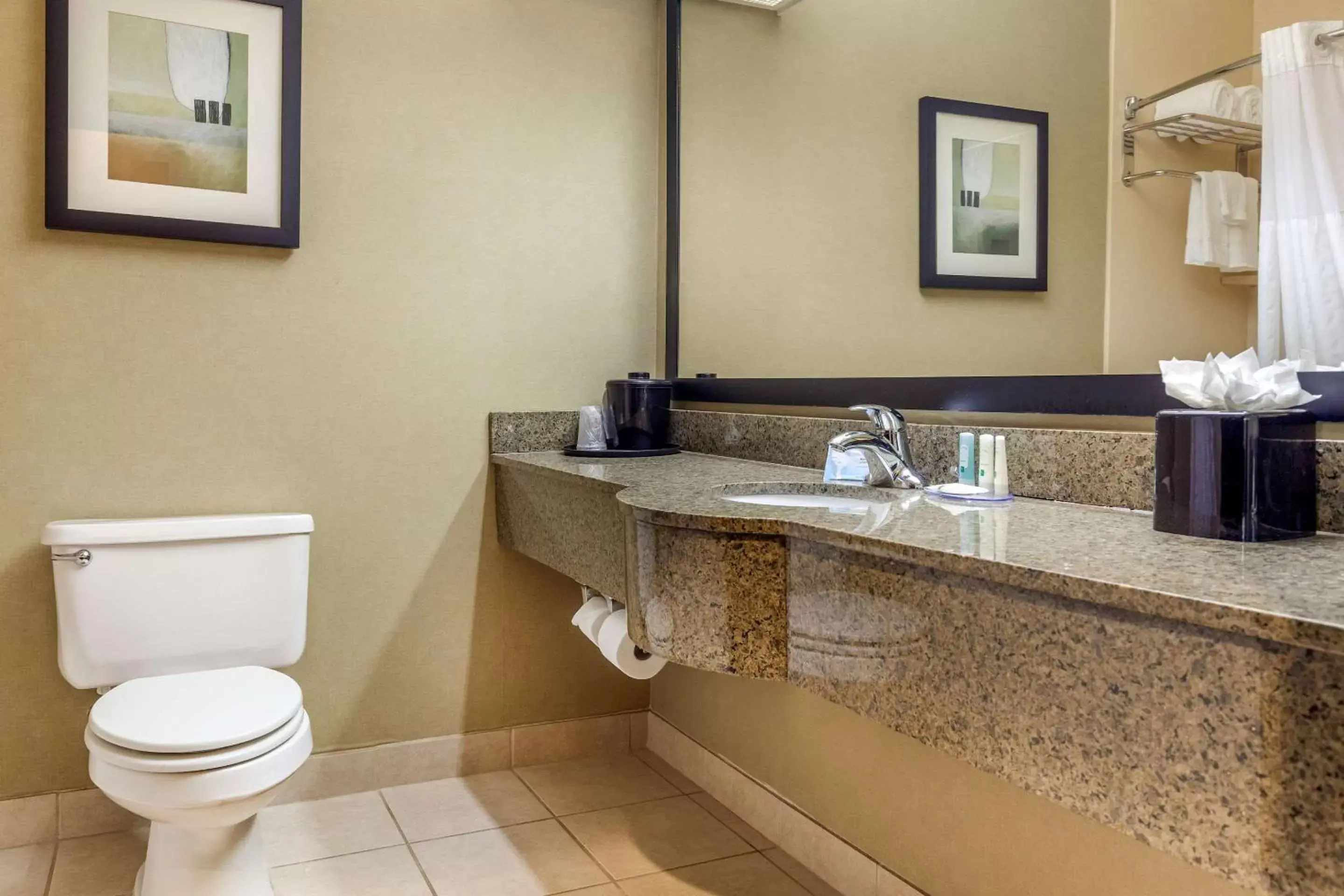 Bathroom in Quality Inn & Suites Durant