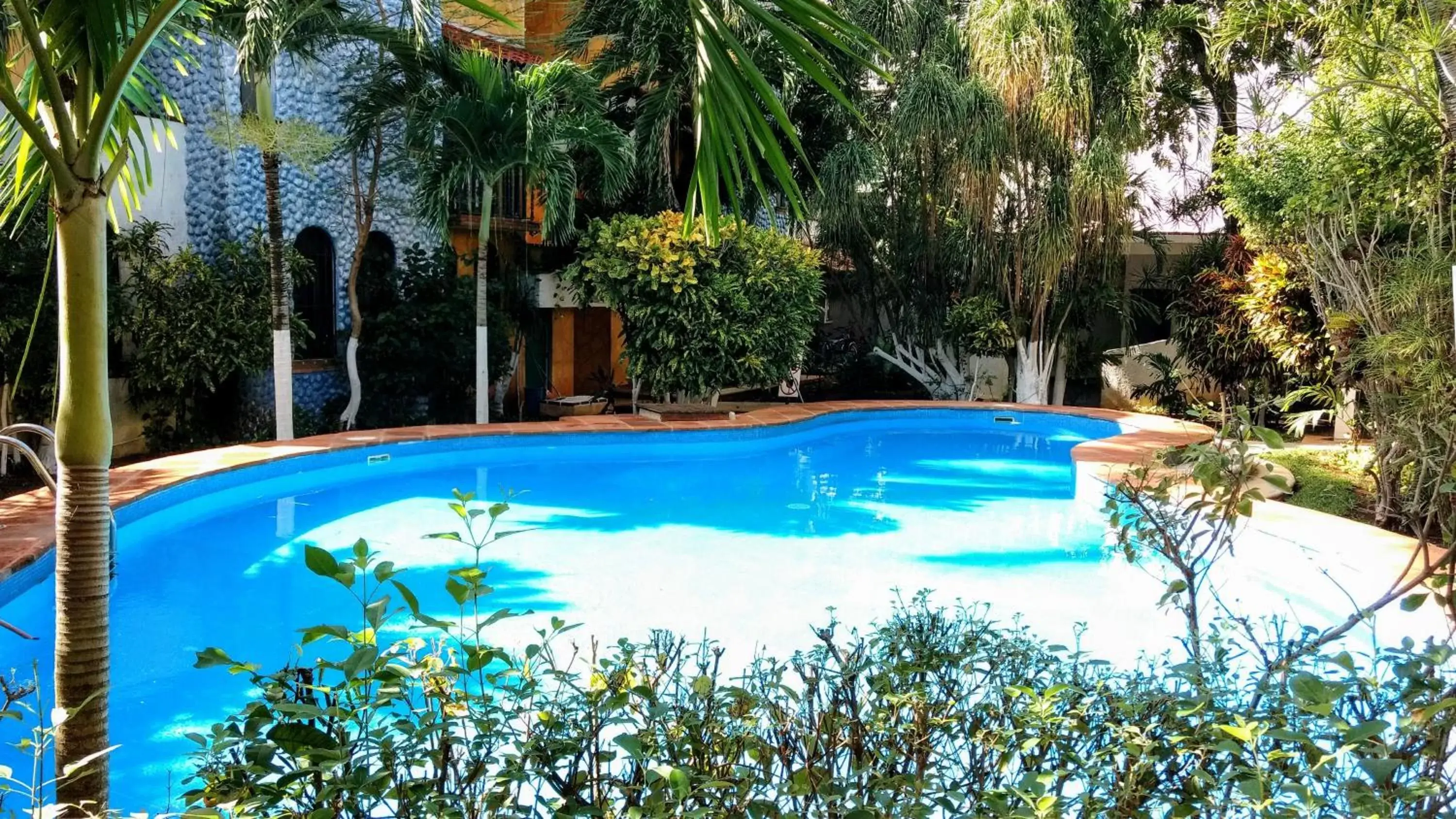 Garden, Swimming Pool in Maya Vacanze Playa Alegria