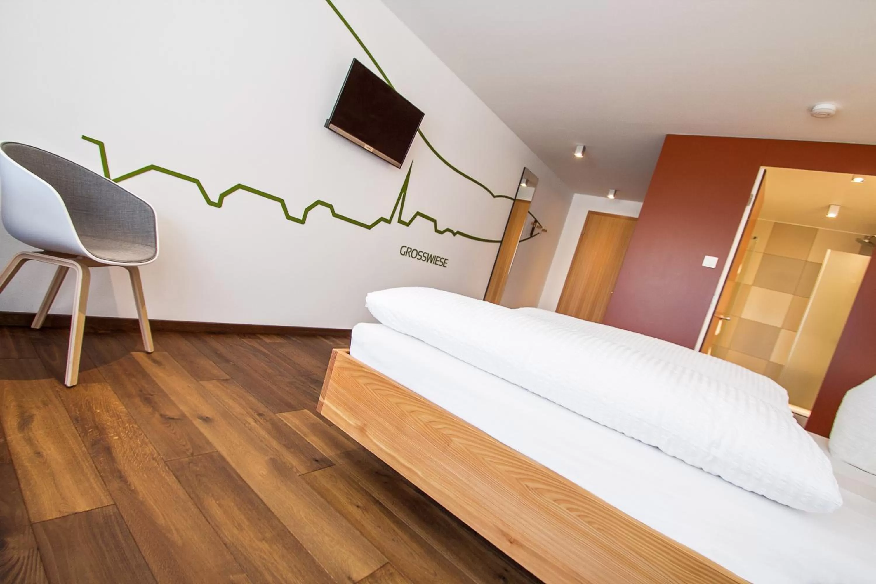 TV and multimedia, Bed in Gengs Linde