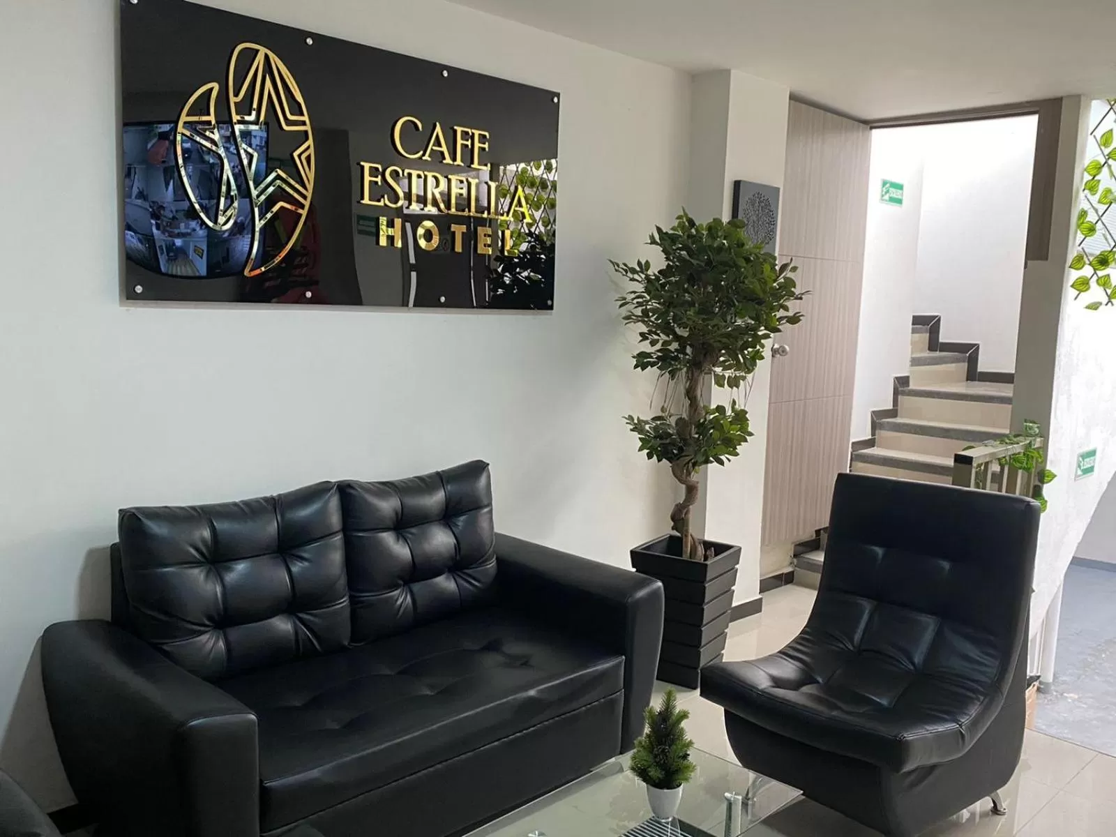 Living room, Seating Area in Hotel Cafe Estrella