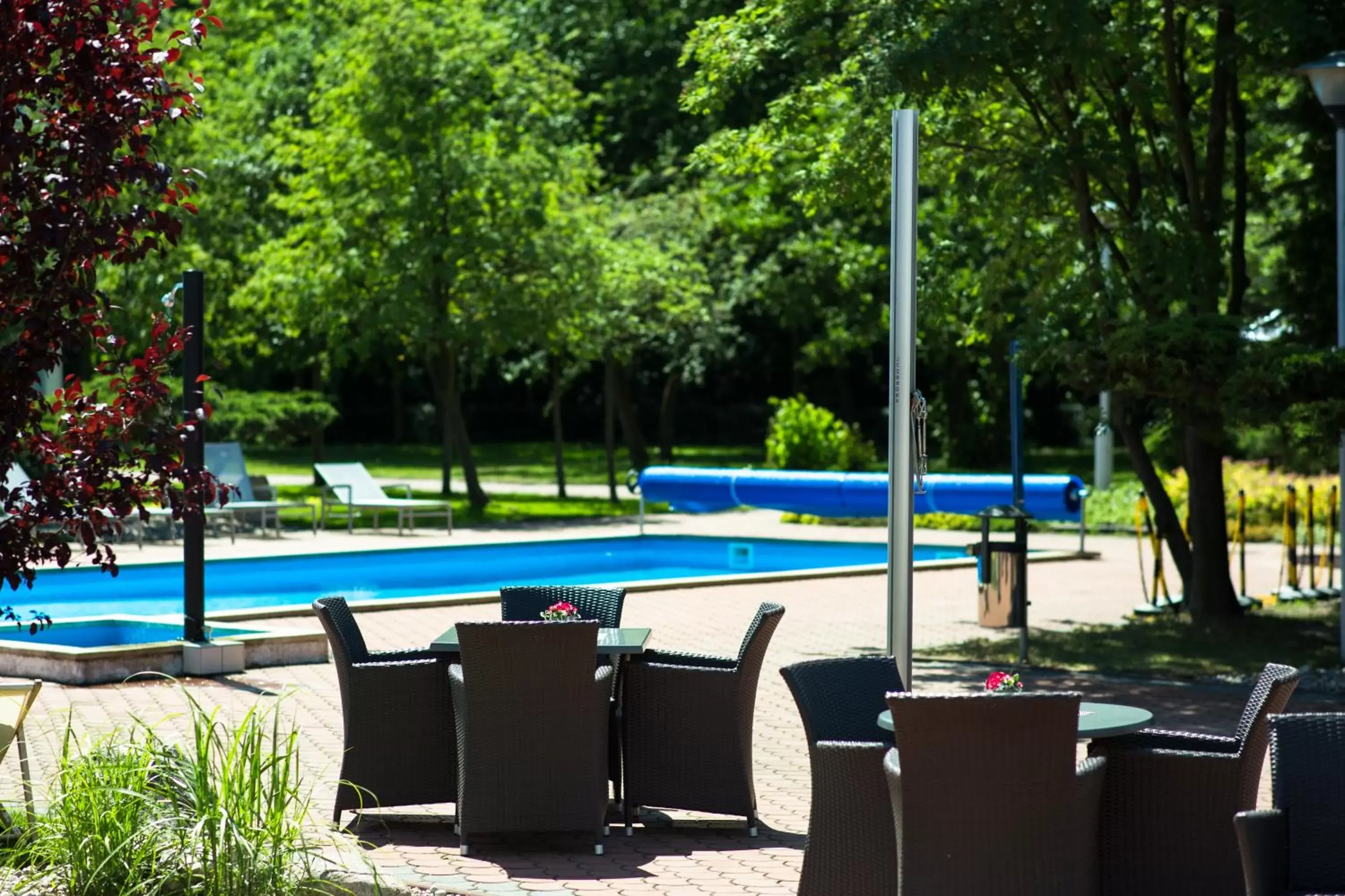 Garden, Swimming Pool in Novotel Poznań Malta