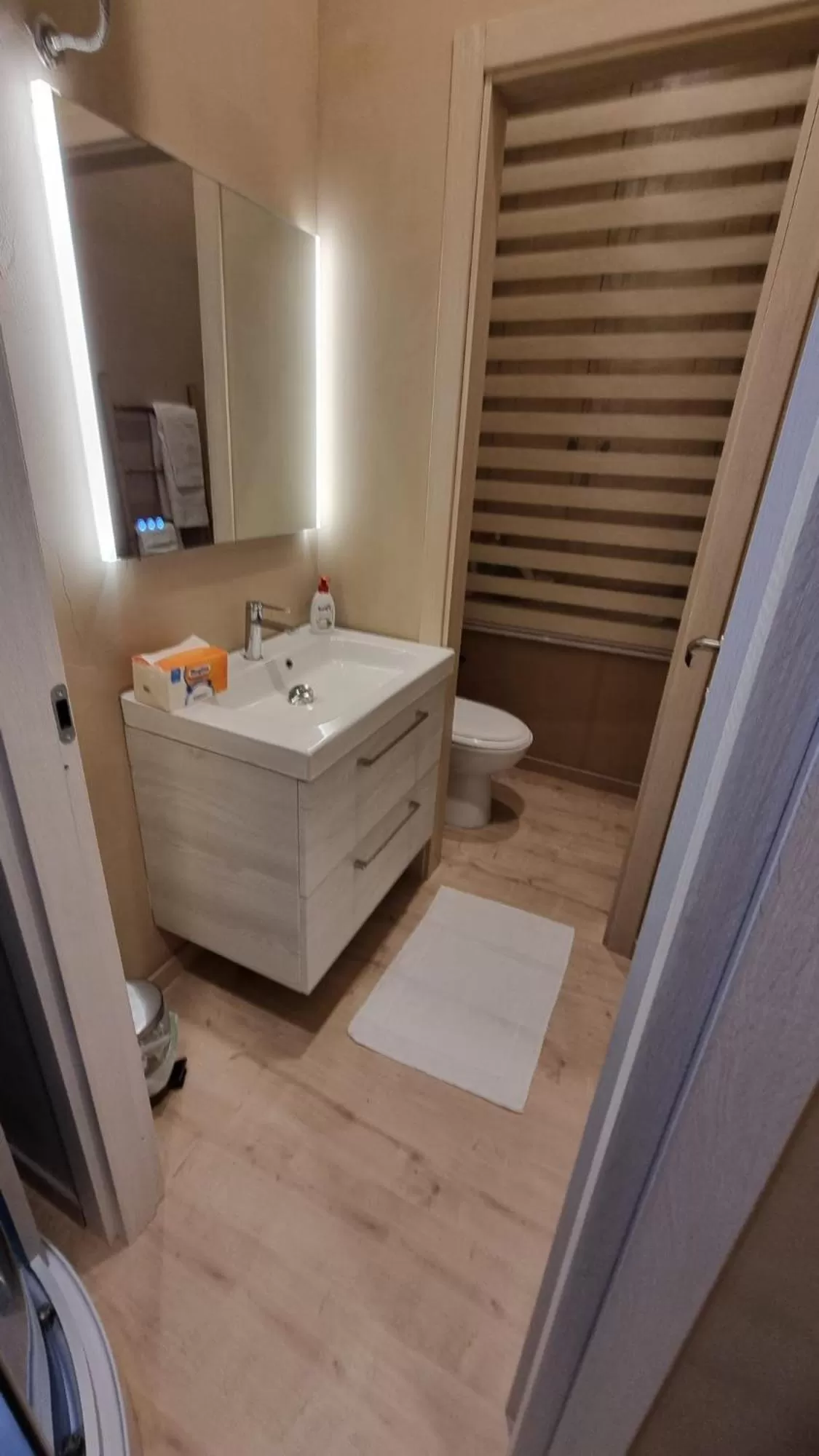 Bathroom in Bio Room