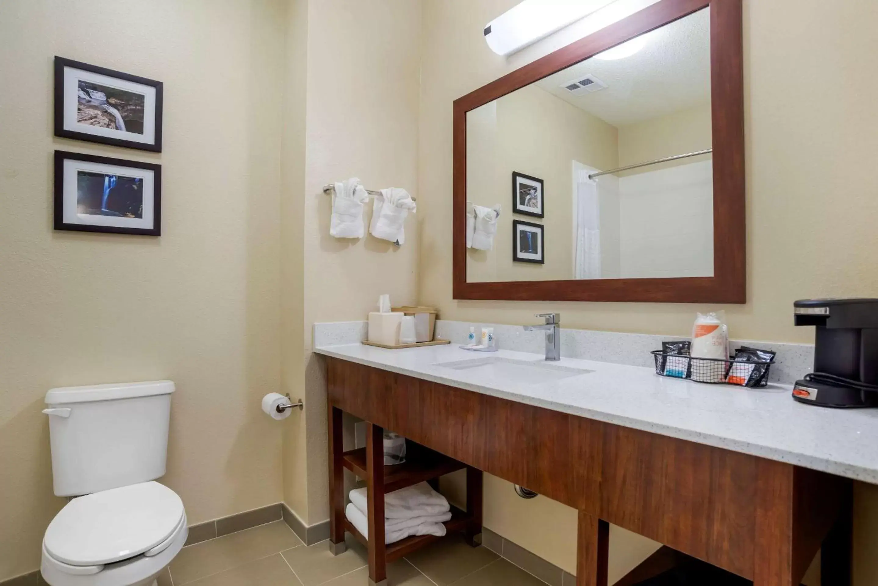 Bathroom in Comfort Inn Greenville I-65