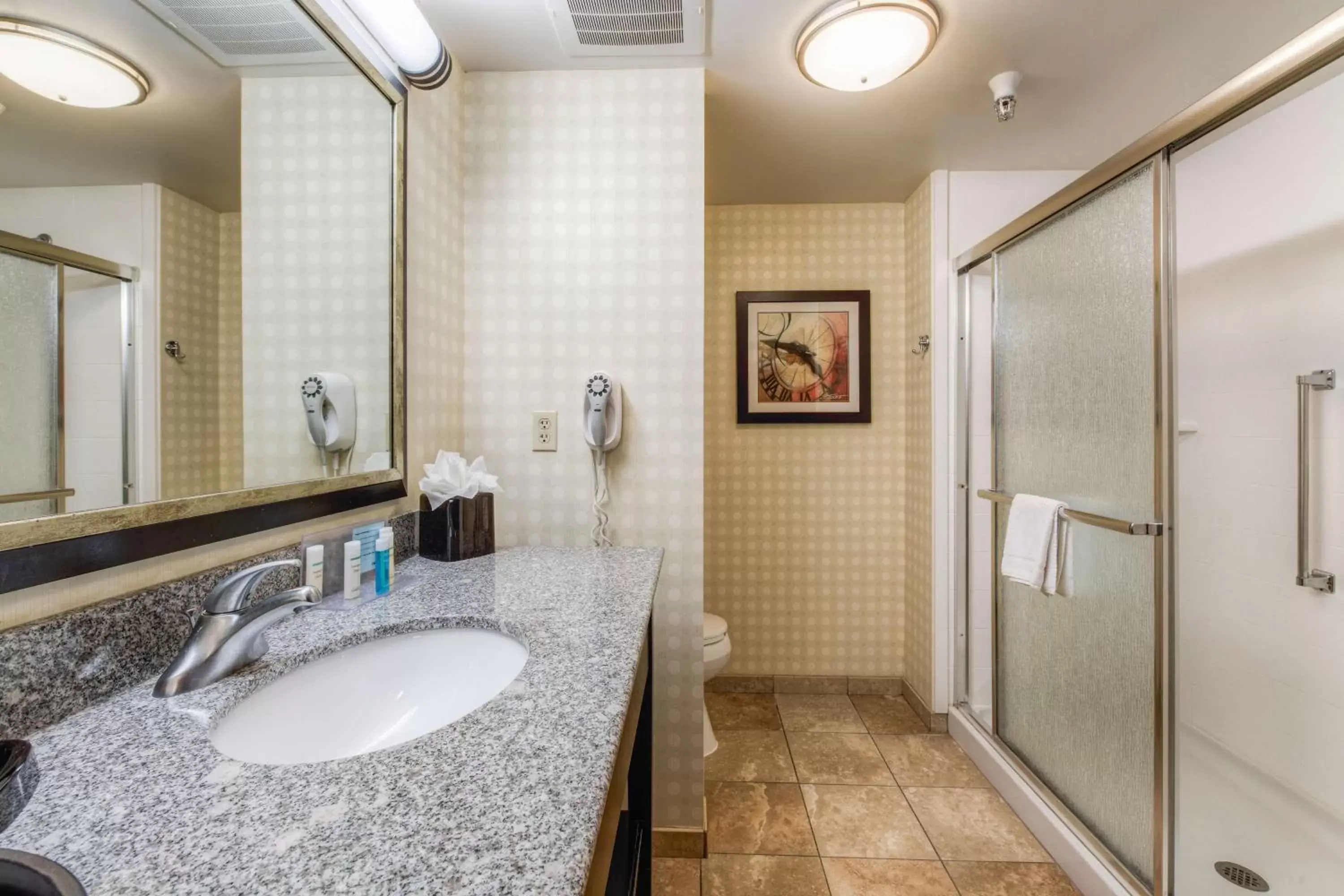 Bathroom in Hampton Inn & Suites Detroit/Airport Romulus