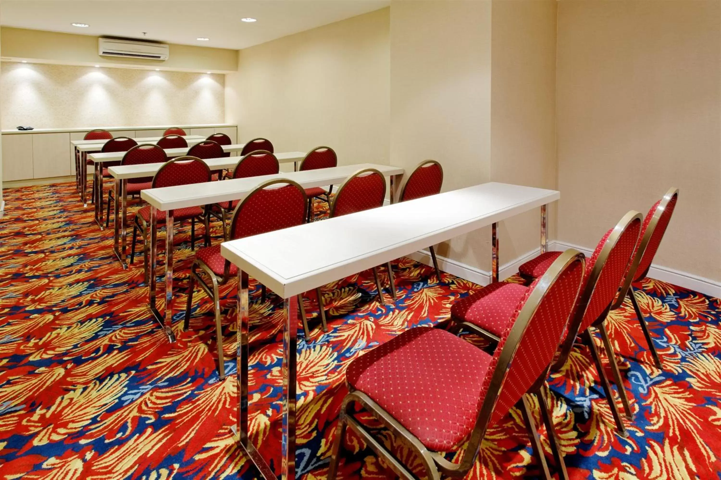 Meeting/conference room in Holiday Inn Express Rosario, an IHG Hotel