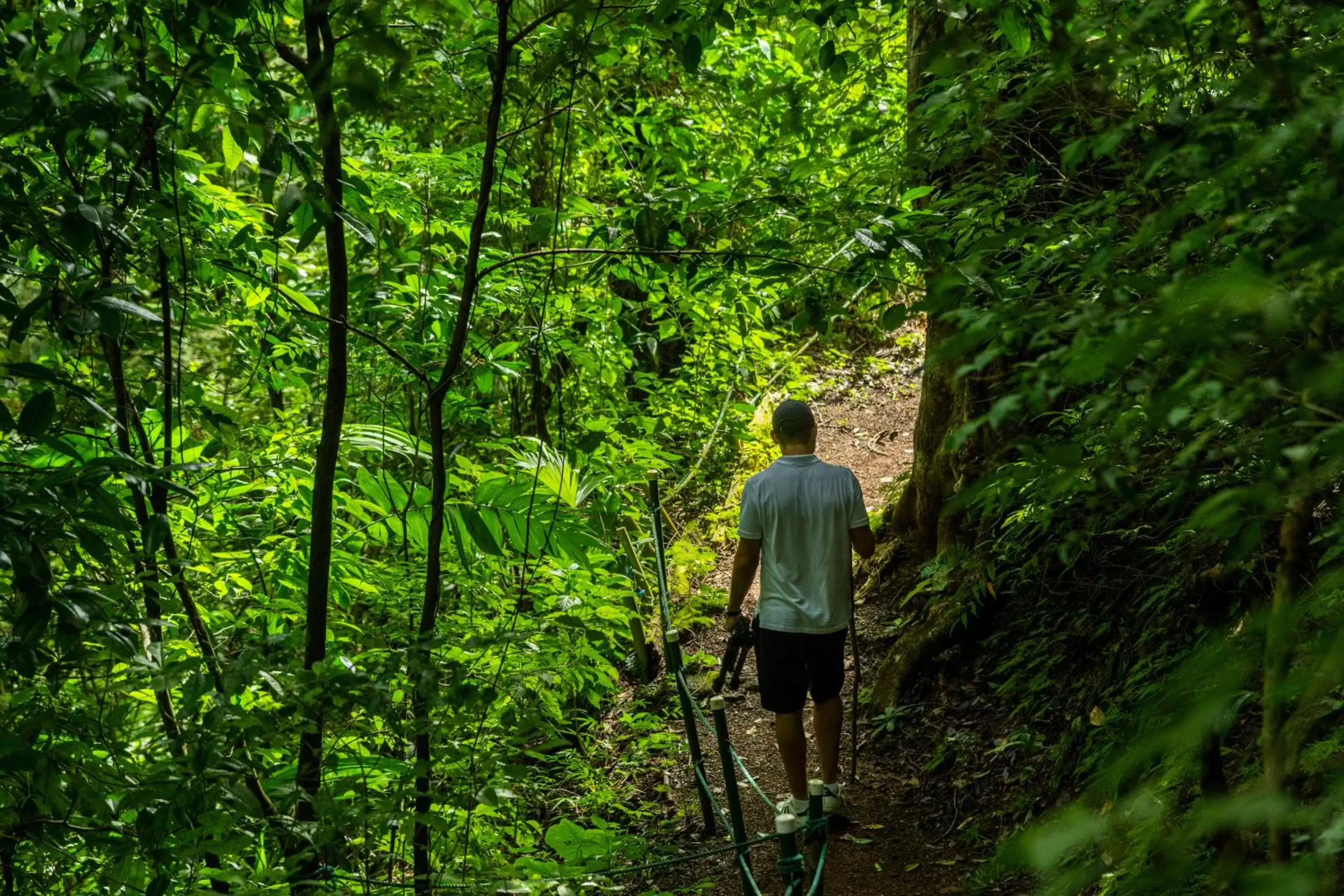 Hiking in Villa Lapas Jungle Village