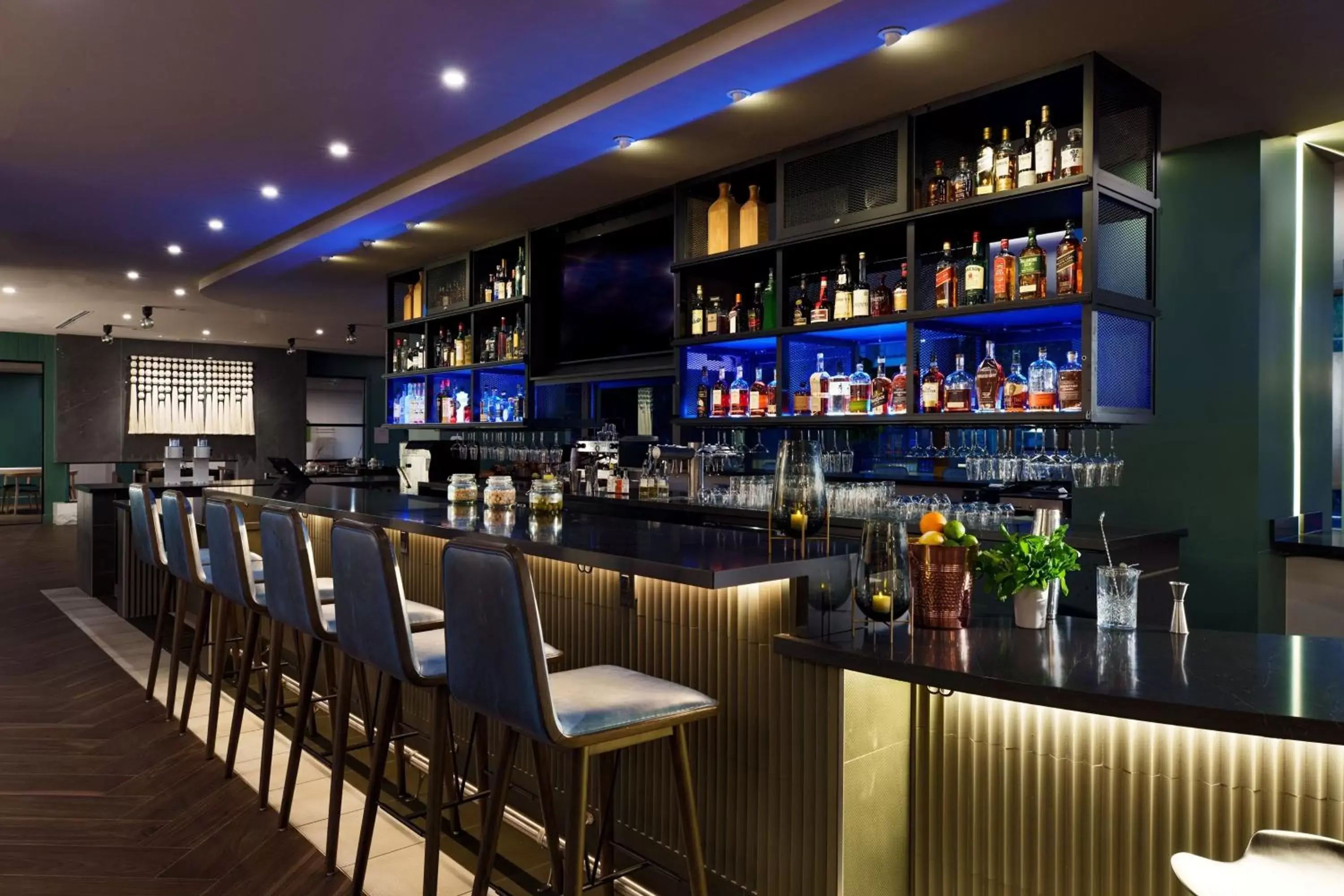 Restaurant/places to eat, Lounge/Bar in The Ven at Embassy Row, Washington, D.C., a Tribute Portfolio Hotel