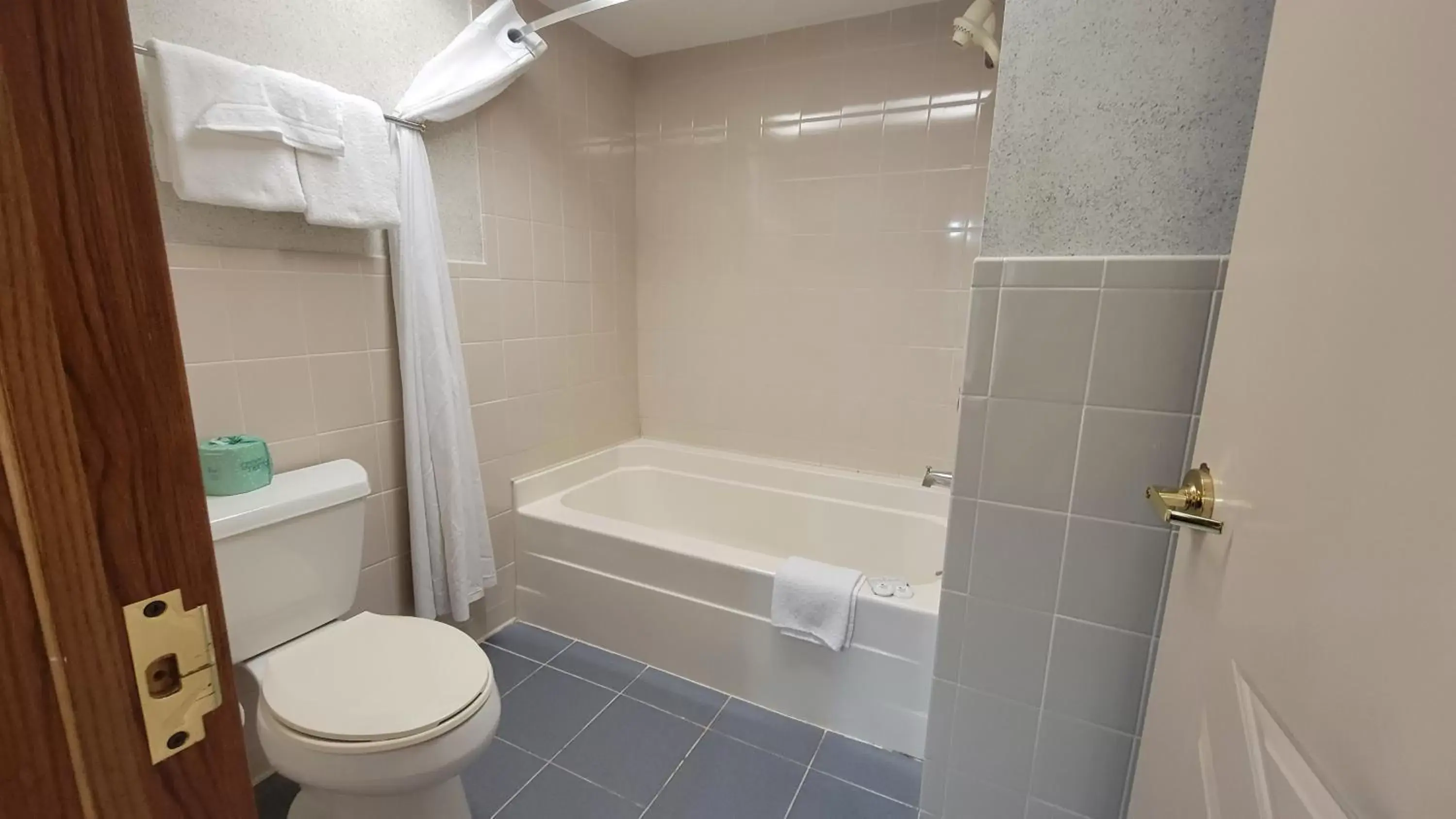 Bathroom in Ramada by Wyndham Saginaw Hotel & Suites