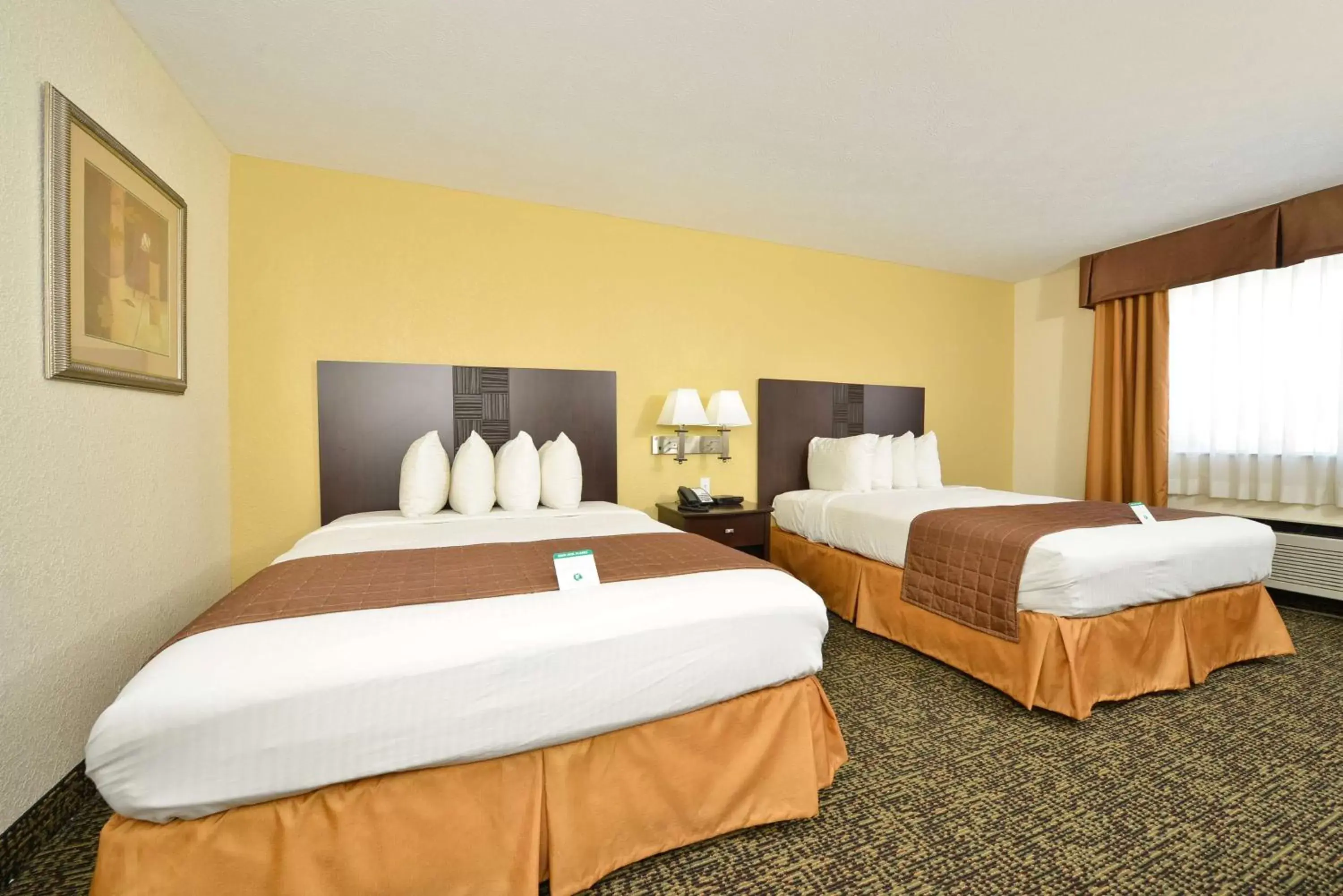 Photo of the whole room, Bed in Best Western Elyria