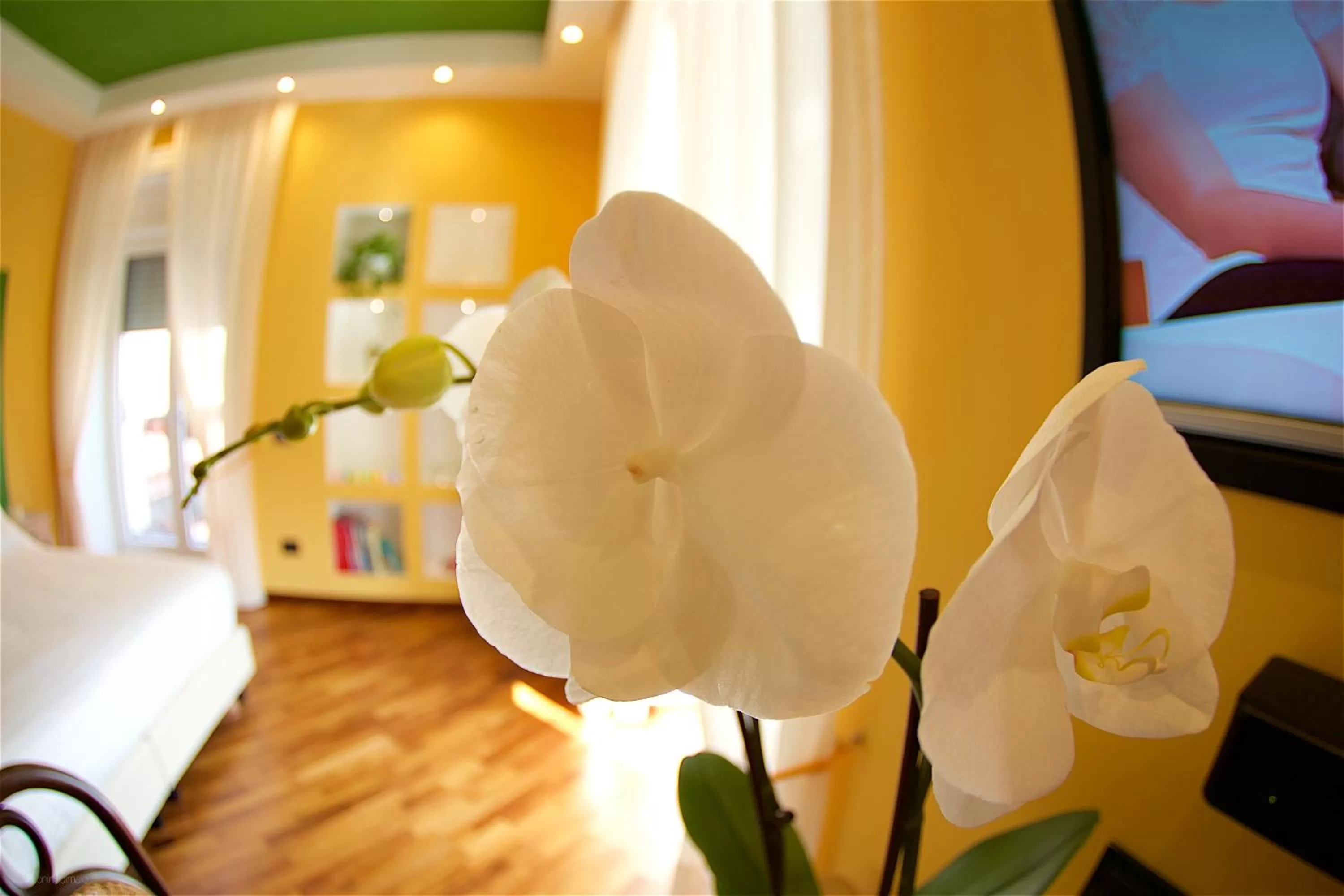 Decorative detail, Bed in Il Giardino Segreto