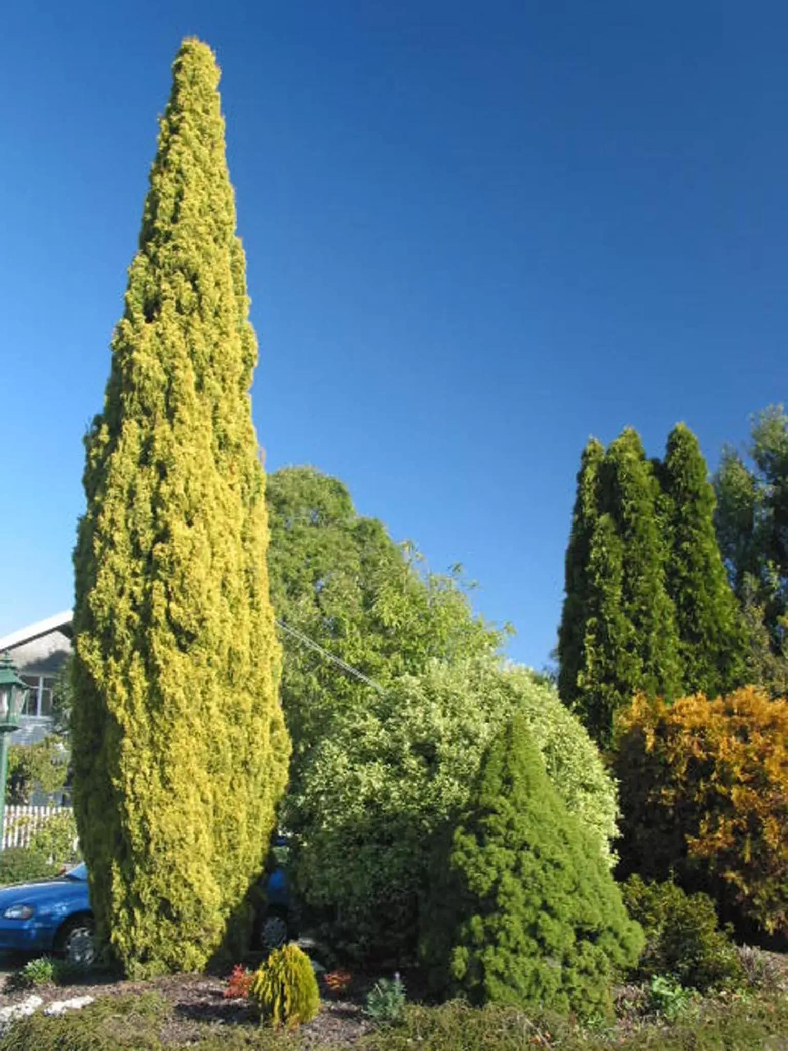 Garden in Aalton Motel