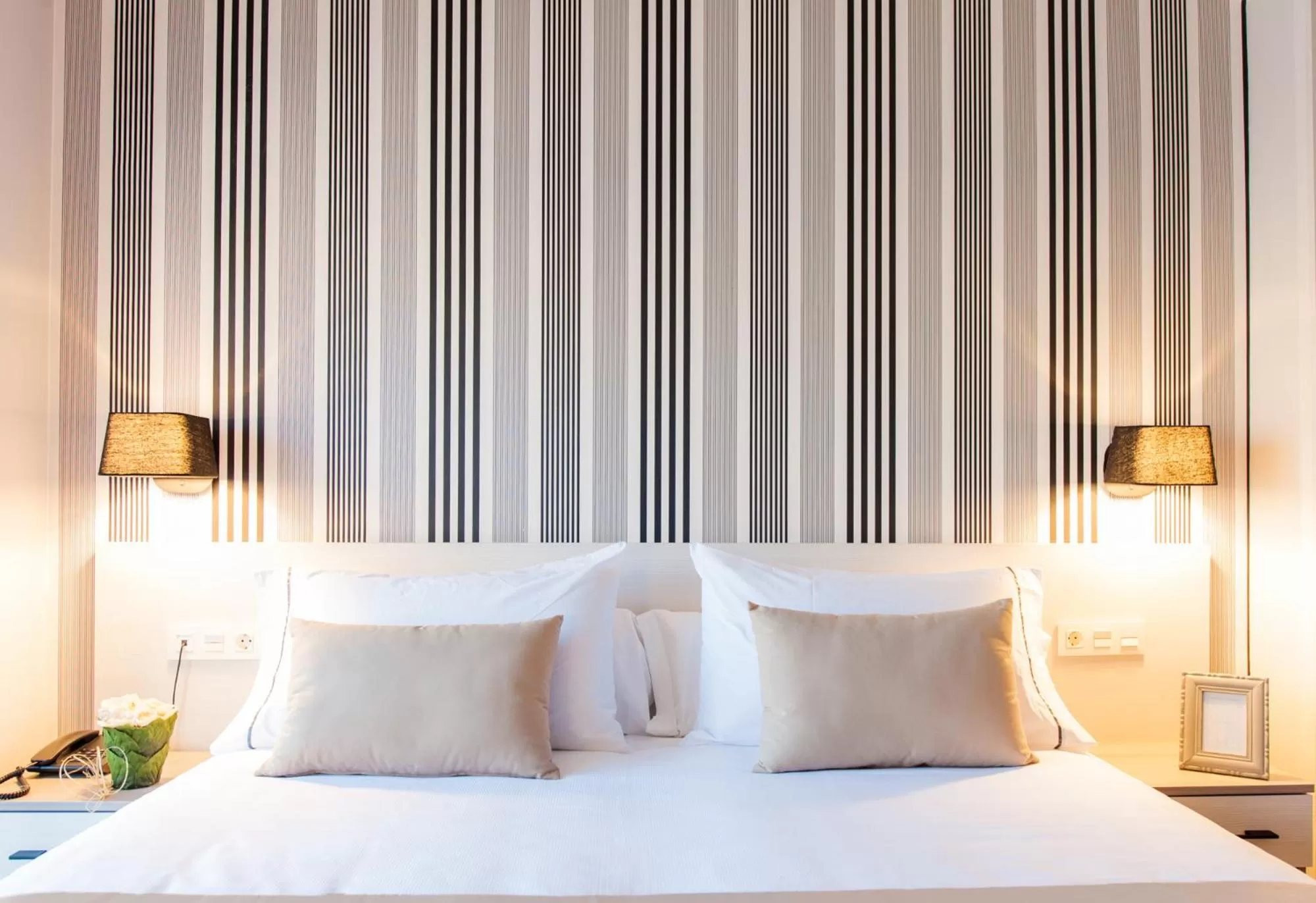 Double Room in New Hotel Colon