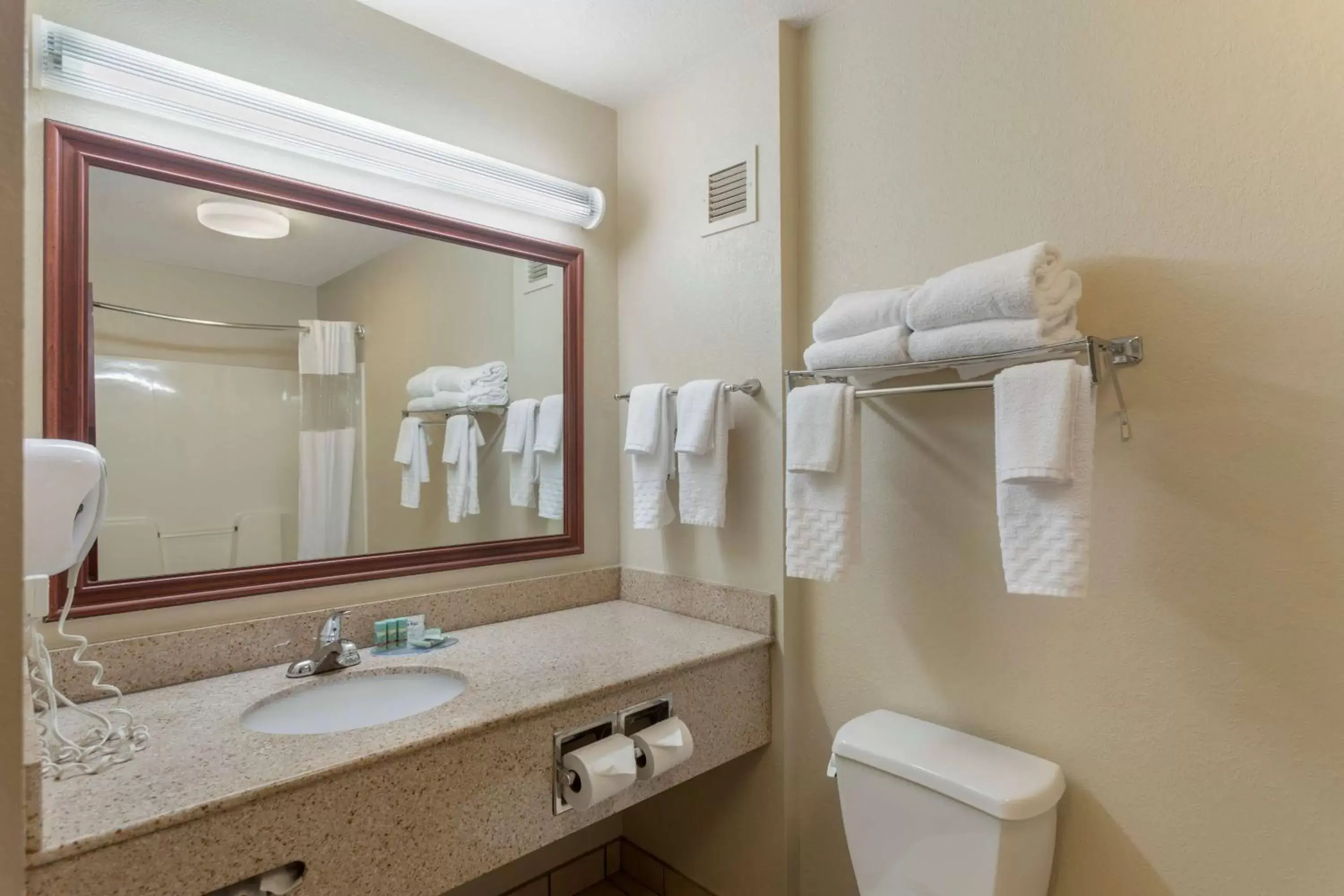 Bathroom in Best Western Lawrenceburg Inn