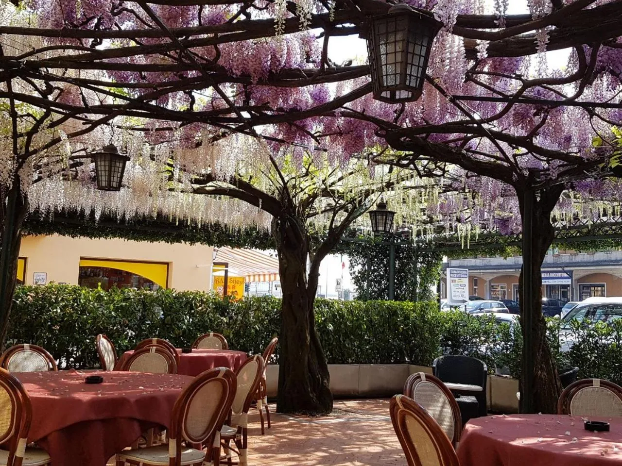 Restaurant/places to eat in Albergo Ristorante Papa