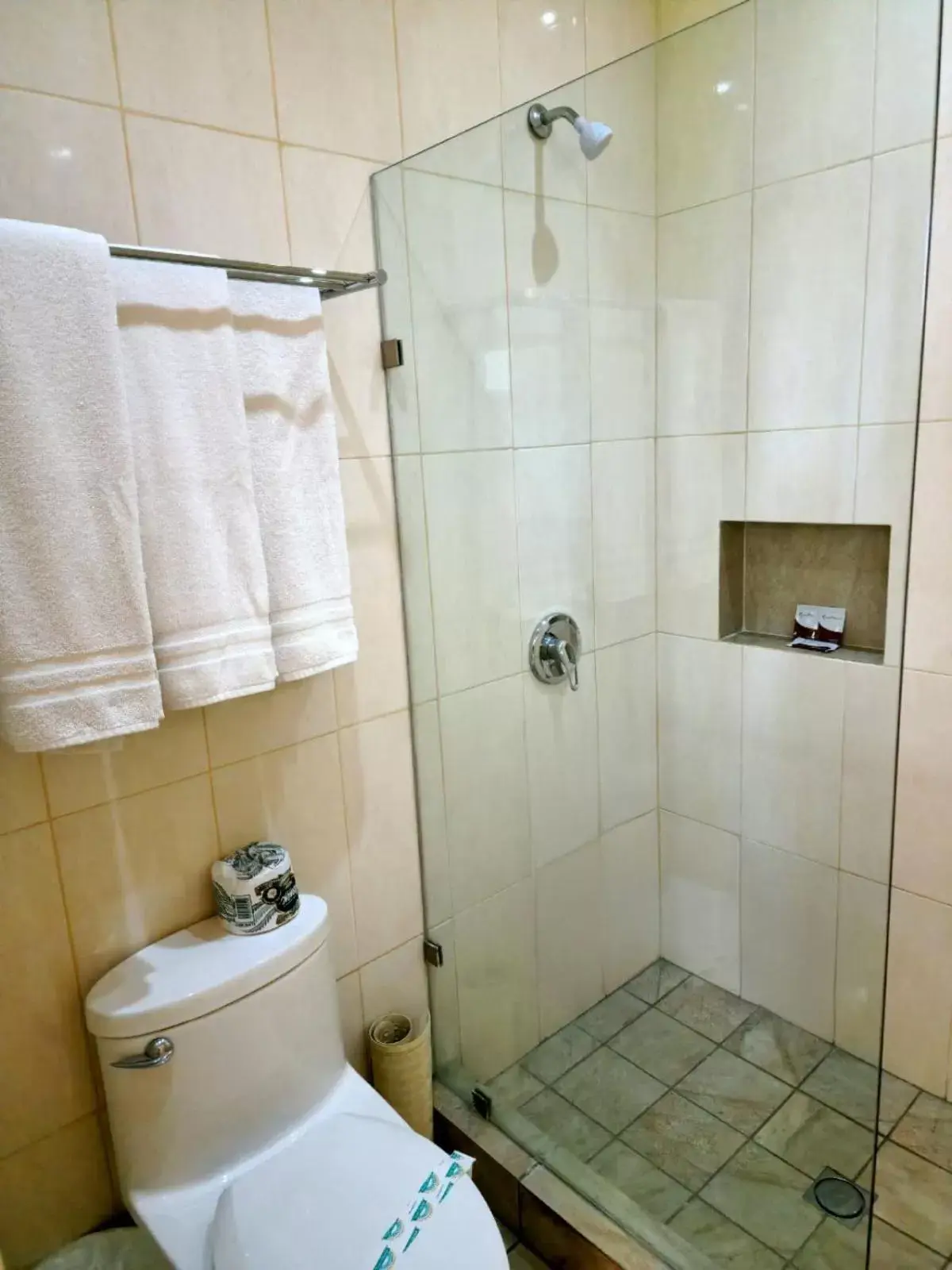 Shower, Bathroom in Hotel Paraiso Las Palmas