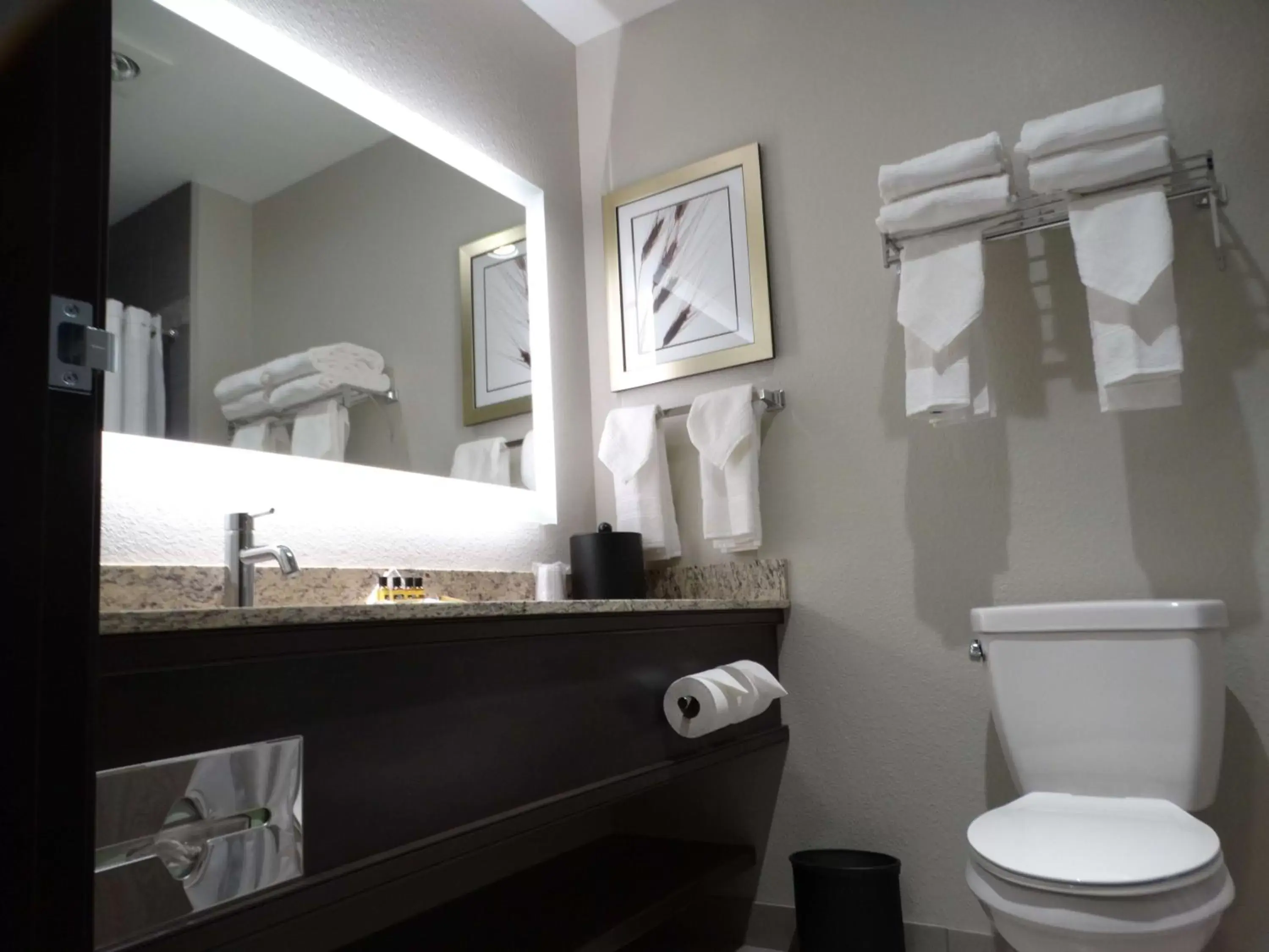 Bathroom in Best Western Plus The Inn at Hells Canyon