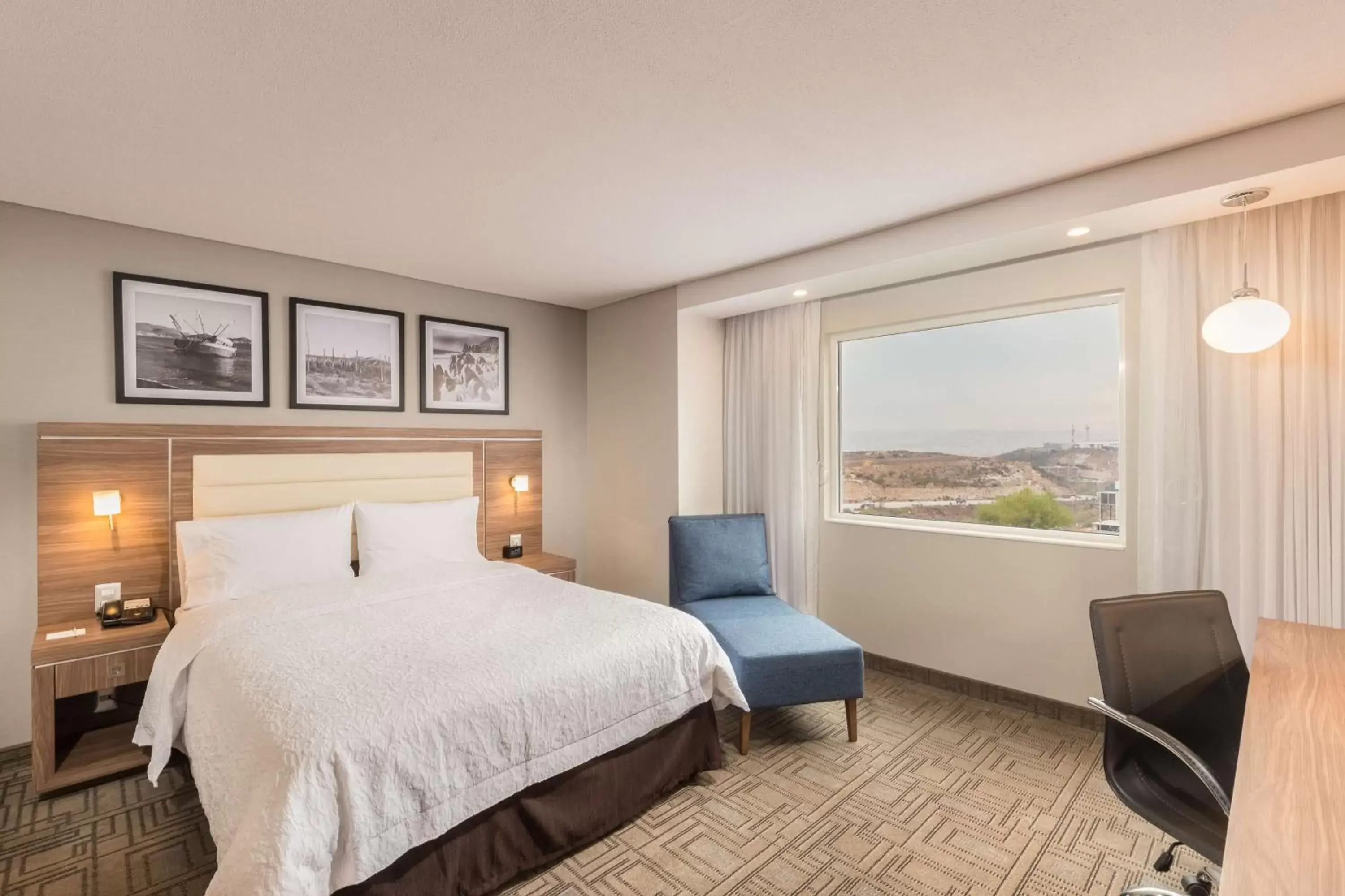 Single Room - Disability Access in Hampton Inn By Hilton Tijuana Single Room - Disability Access in Hampton Inn By Hilton Tijuana