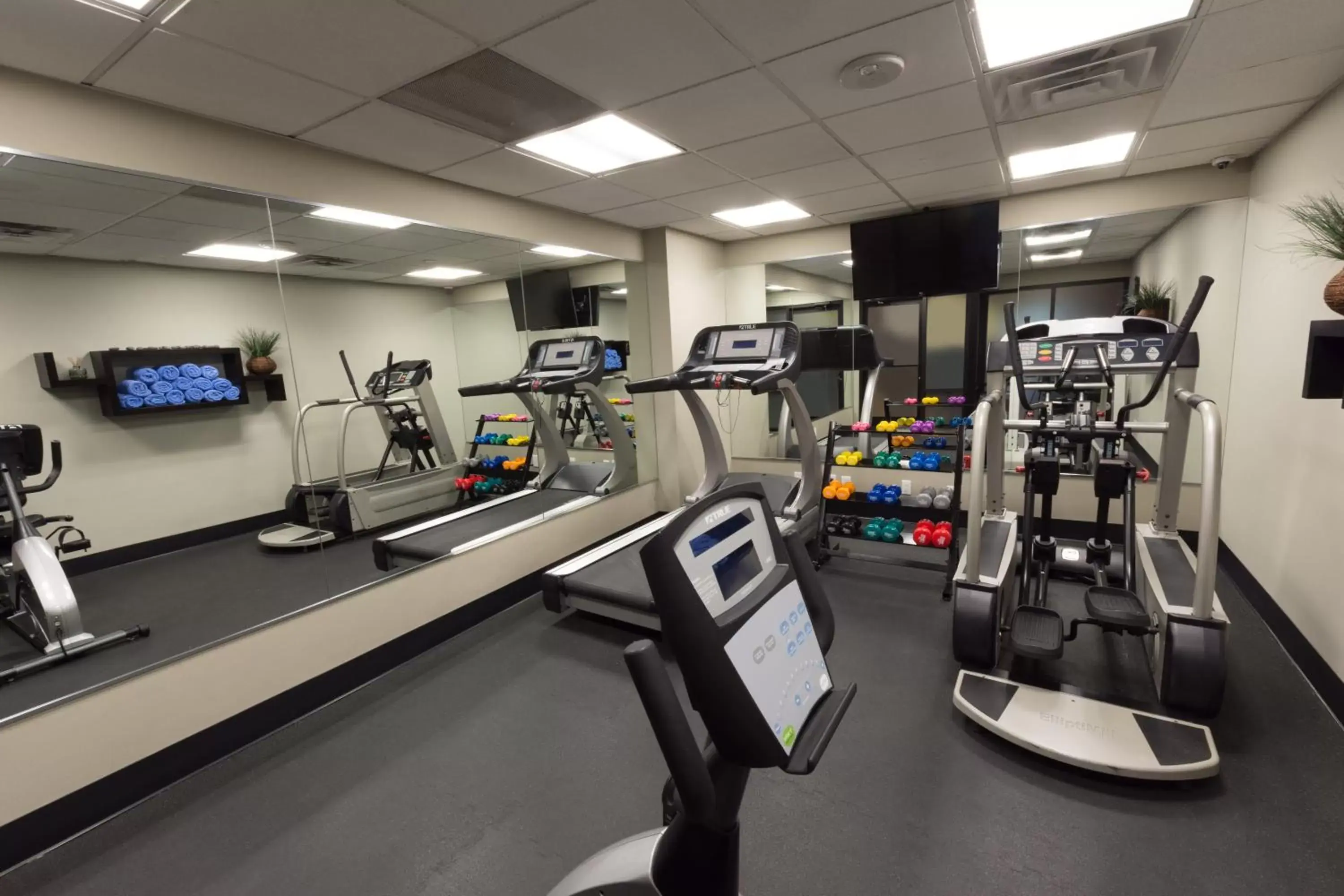 Fitness centre/facilities, Fitness Center/Facilities in The Carriage House