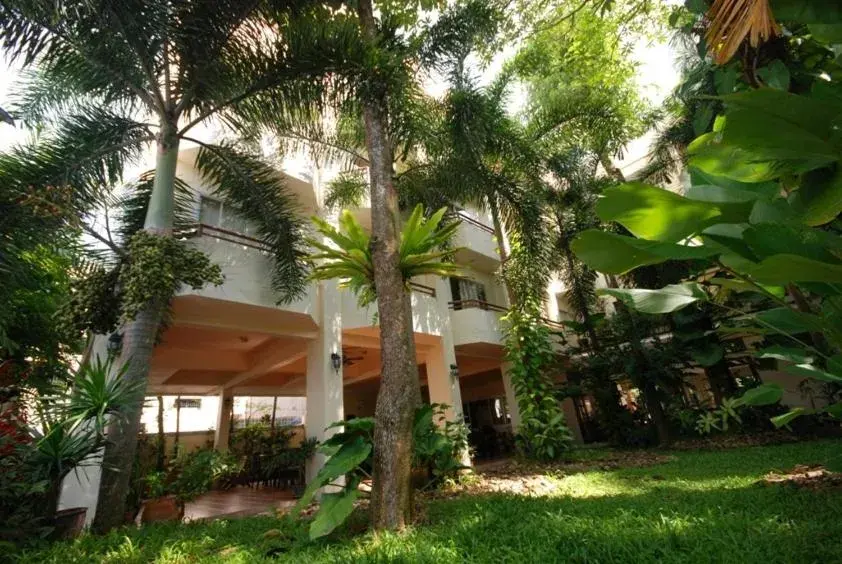 Garden, Property Building in The Greenery Hotel
