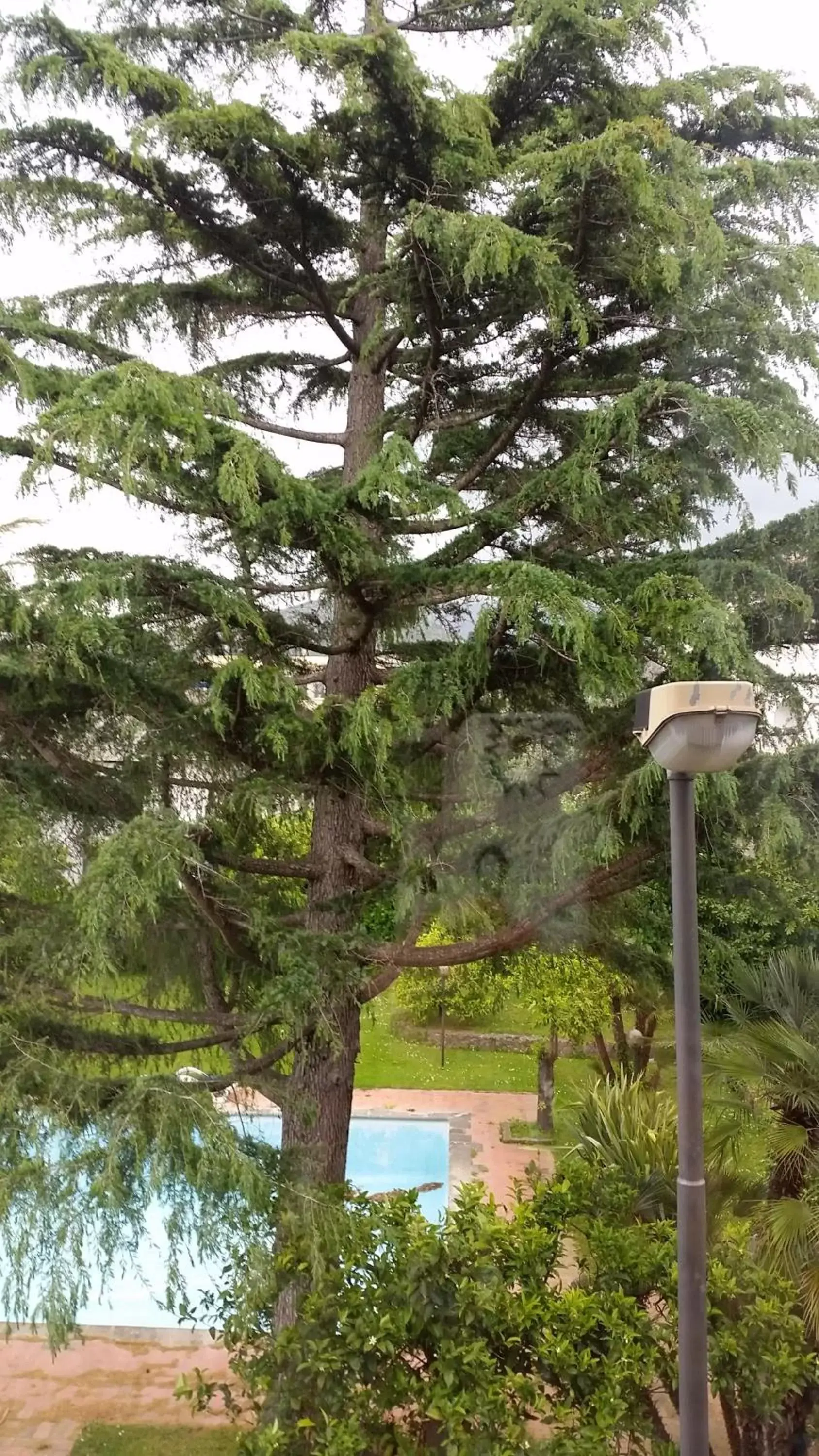 Street view, Pool View in Casa Carolina B&B