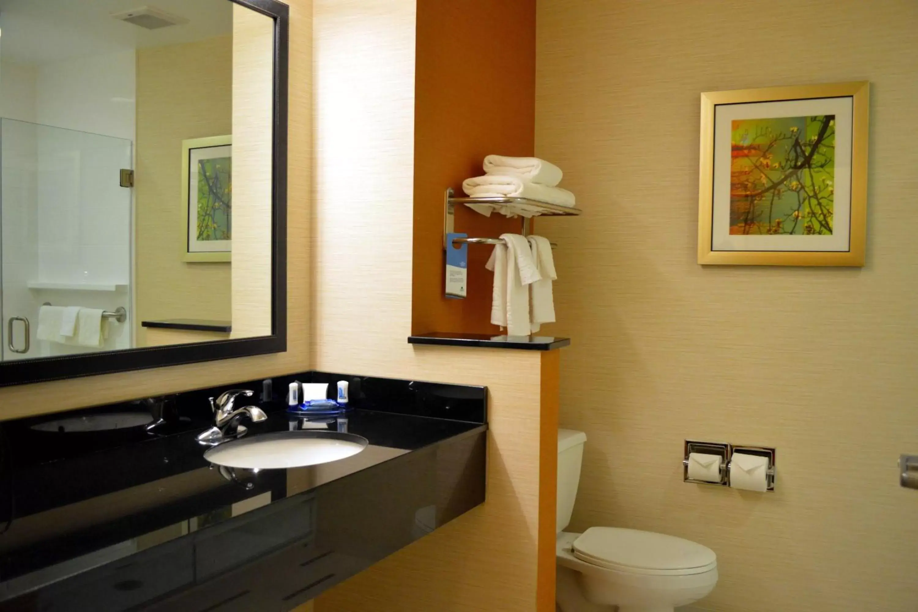 Bathroom in Fairfield Inn & Suites by Marriott Stafford Quantico