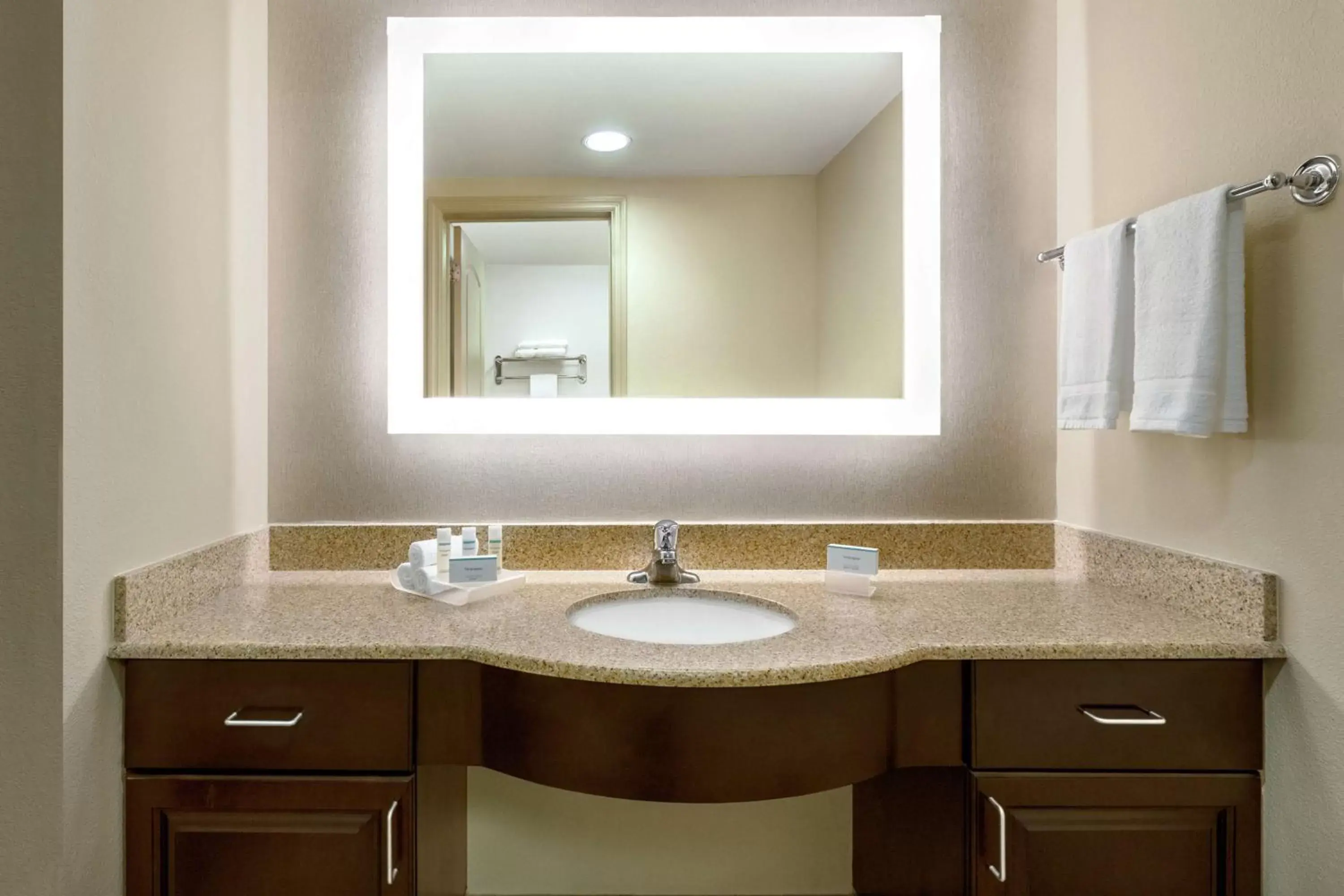 Bathroom in Homewood Suites by Hilton Macon-North