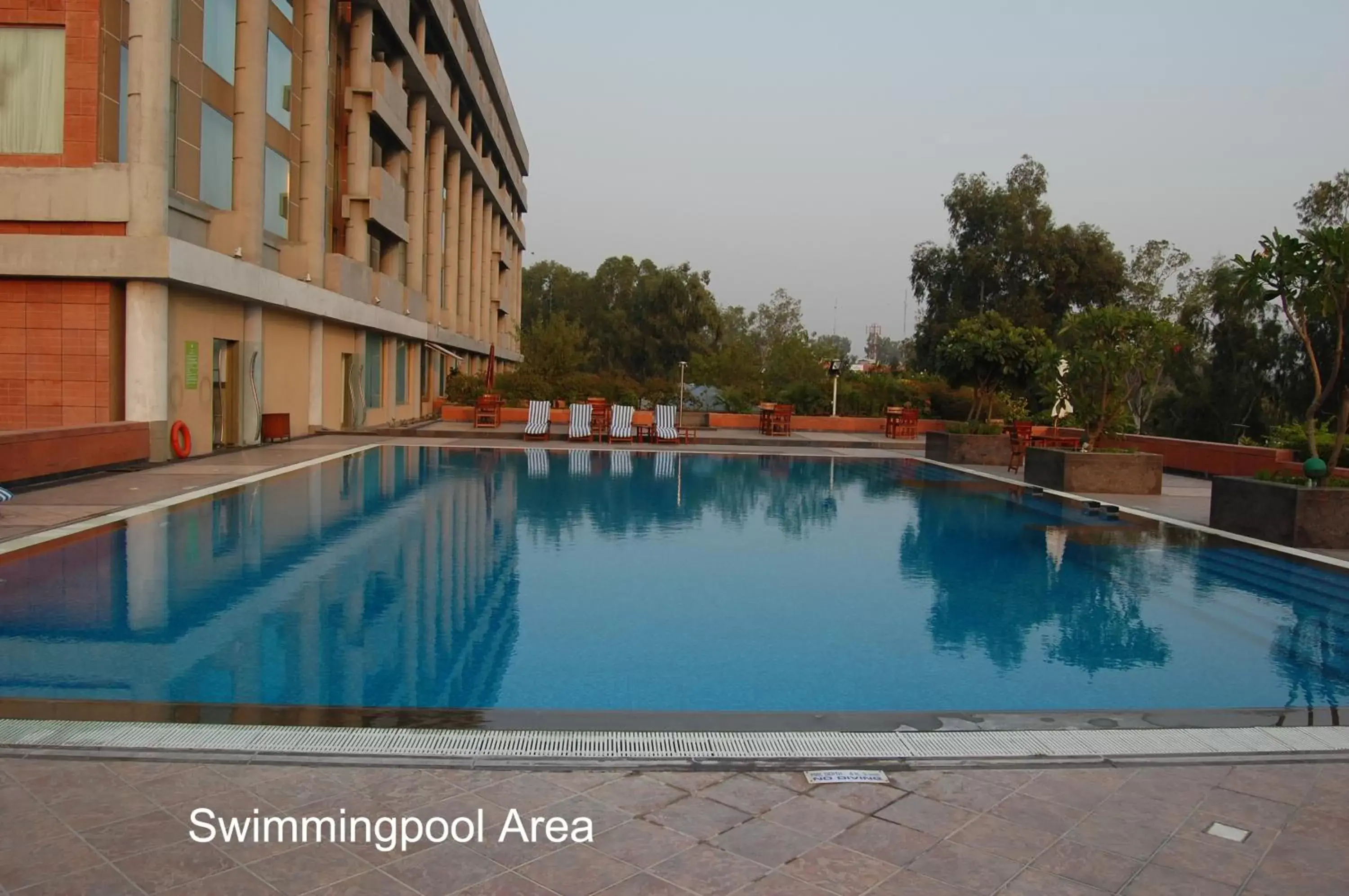 Pool view in Taj Chandigarh Pool view in Taj Chandigarh