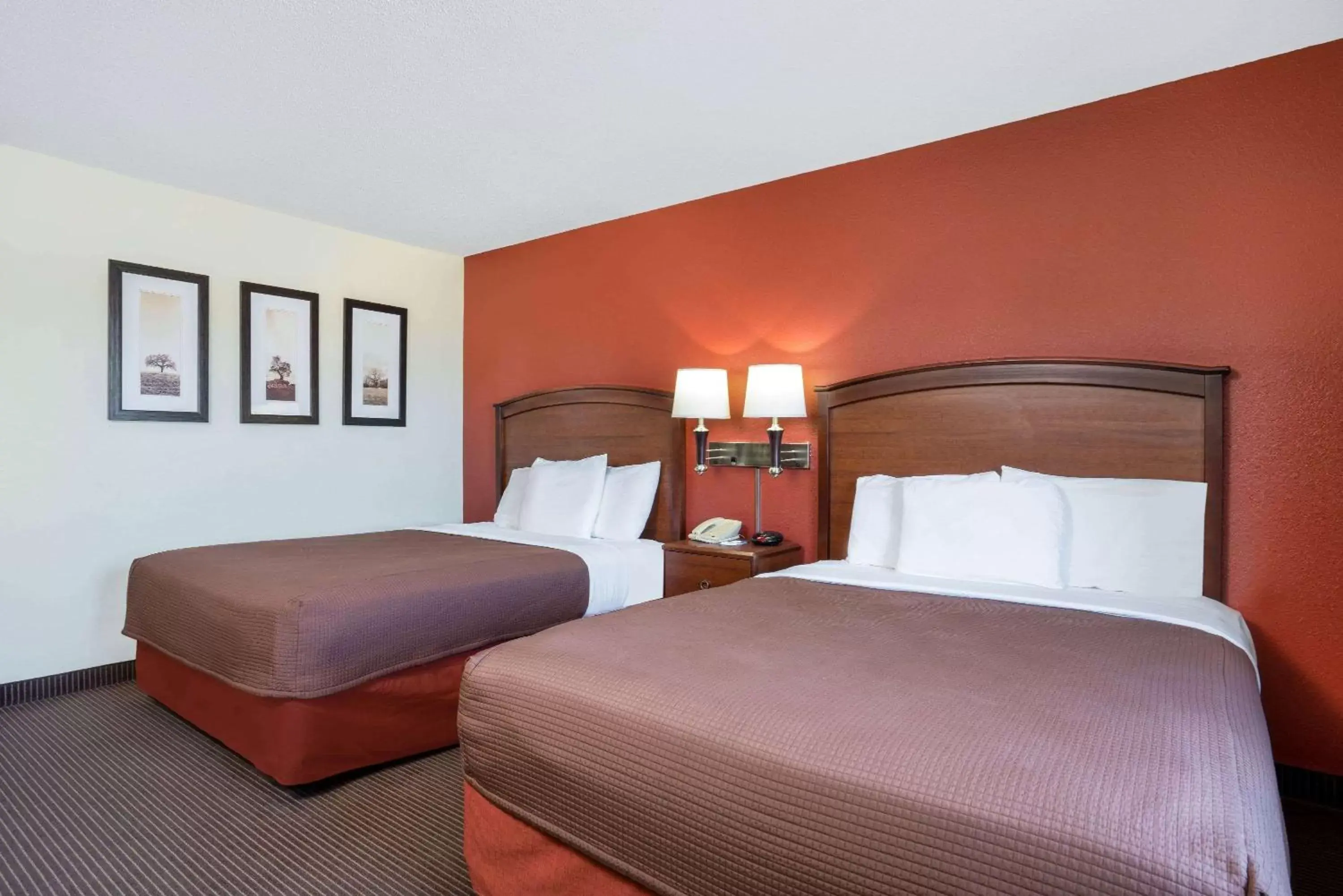 Photo of the whole room, Bed in AmericInn by Wyndham Park Rapids