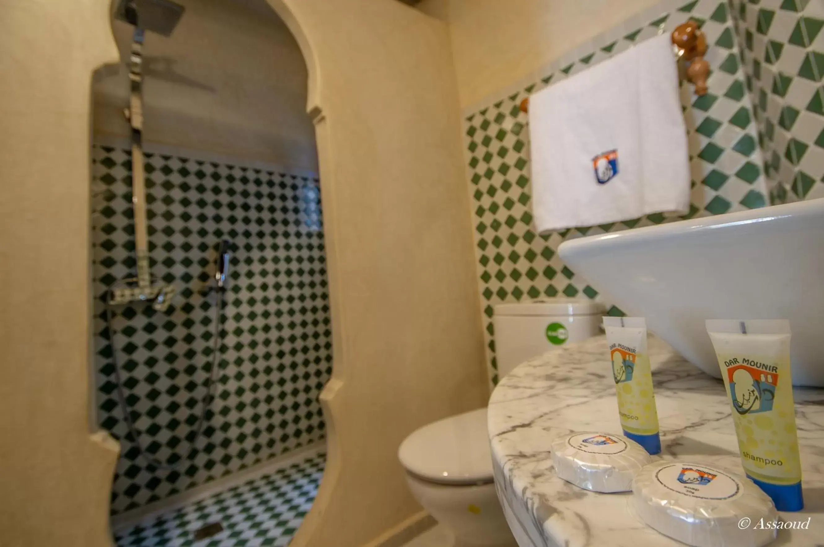 Toilet, Bathroom in Hotel Dar Mounir