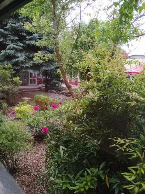 Garden in Motel Vega