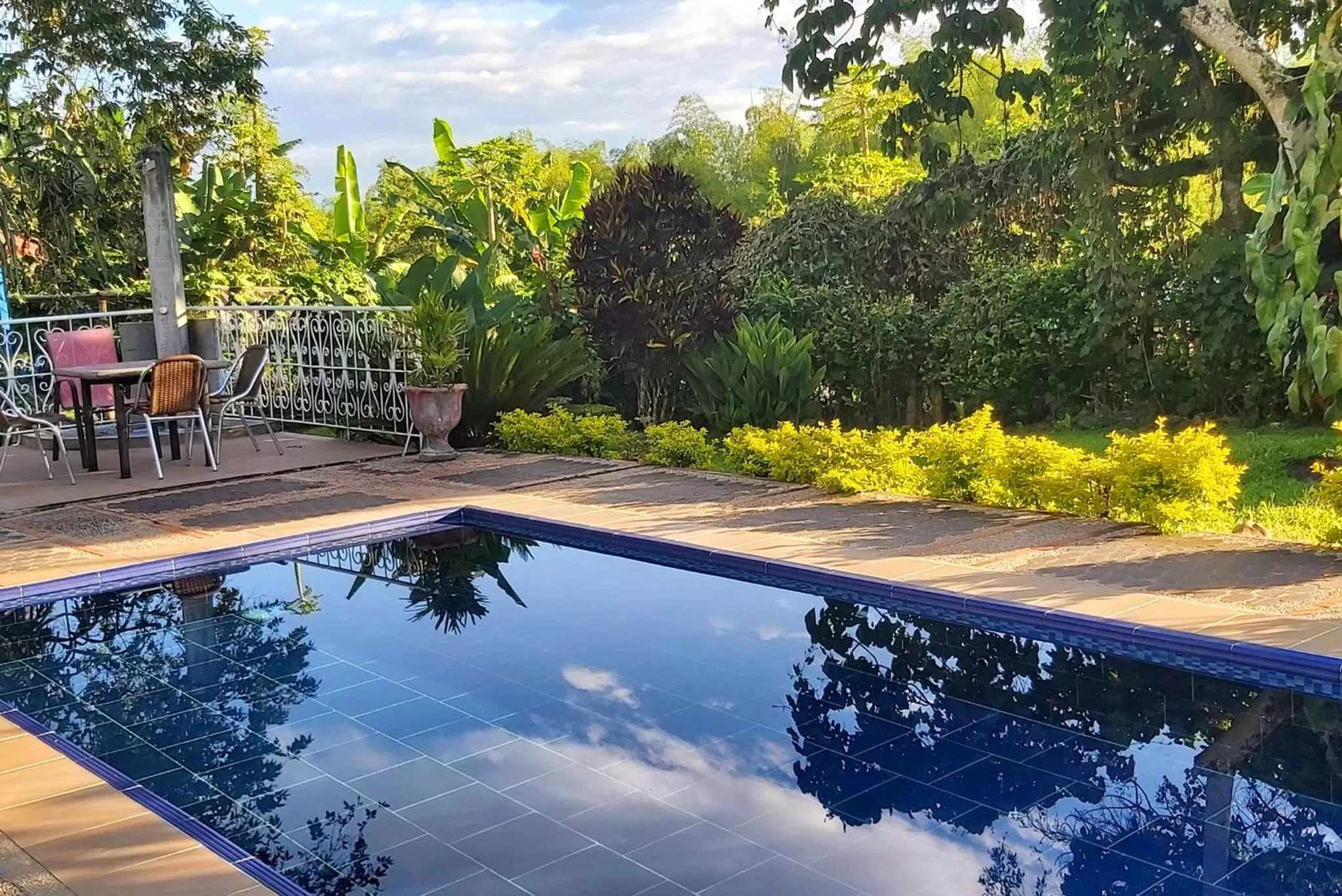 Garden in Balsora Hotel Boutique