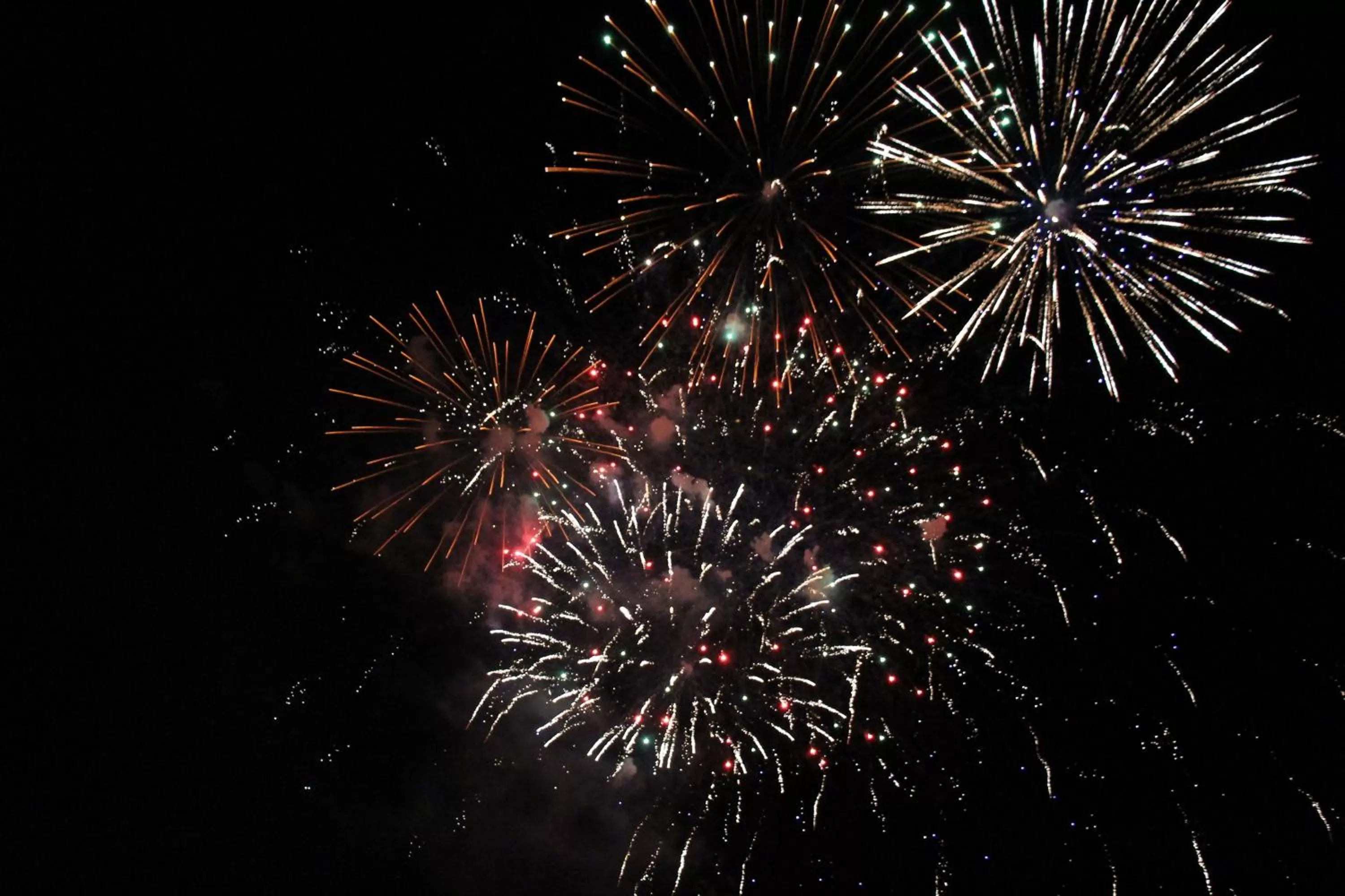 Neighbourhood in 13 Bees