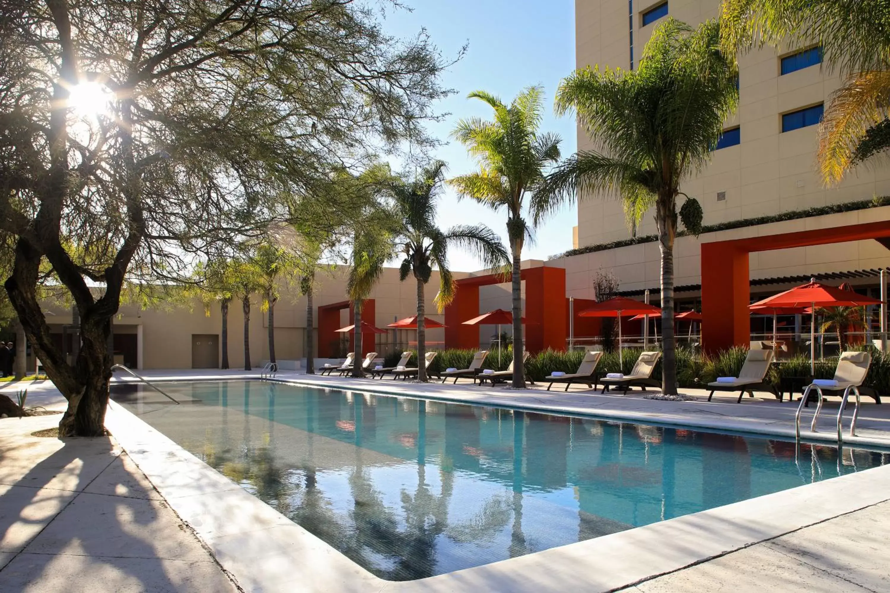 Swimming Pool in Aguascalientes Marriott Hotel