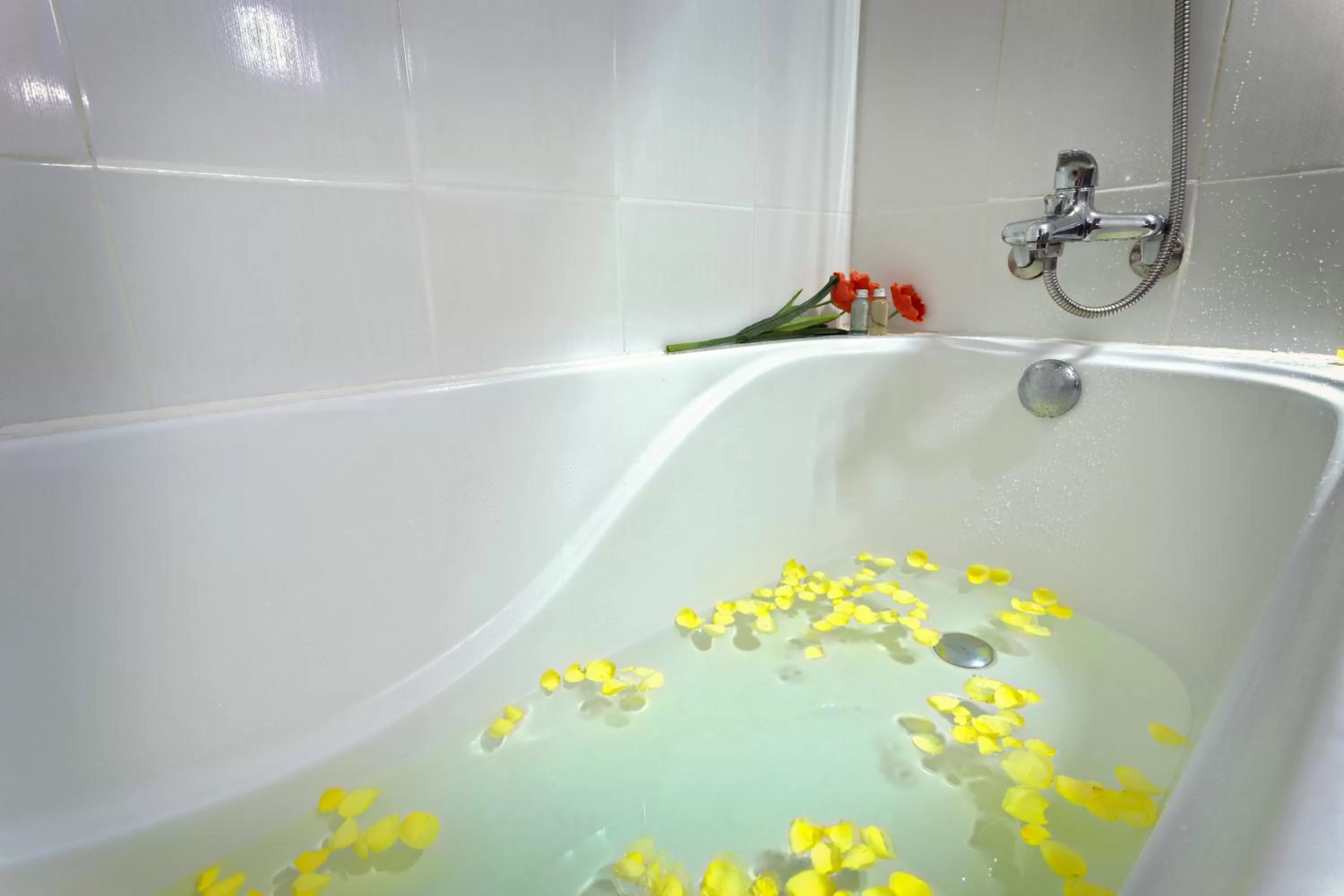 Bathroom in Palago mc Hotel Park View