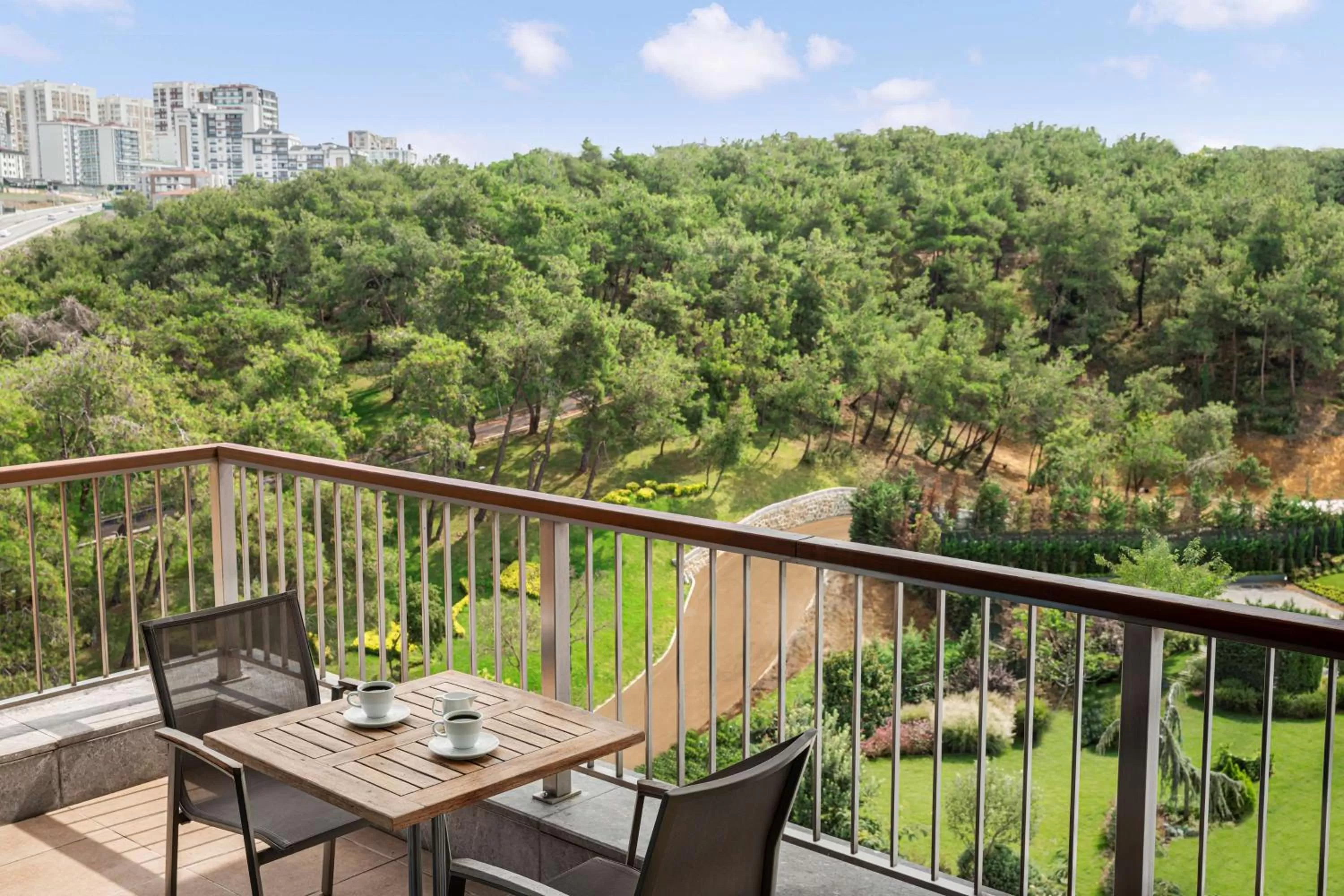 Photo of the whole room in Radisson Blu Hotel & Spa, Istanbul Tuzla