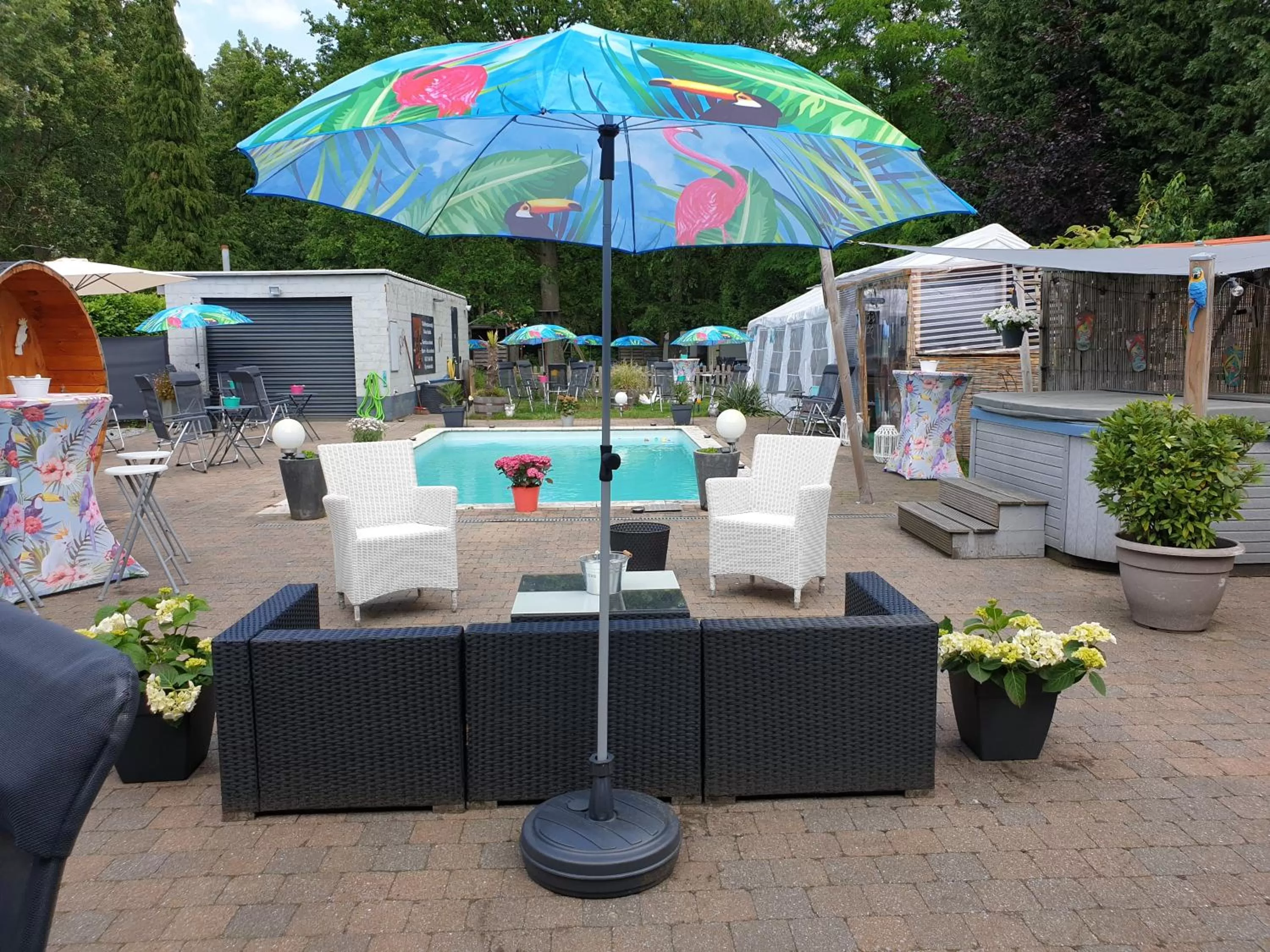 Swimming pool in B&B Lazy Life