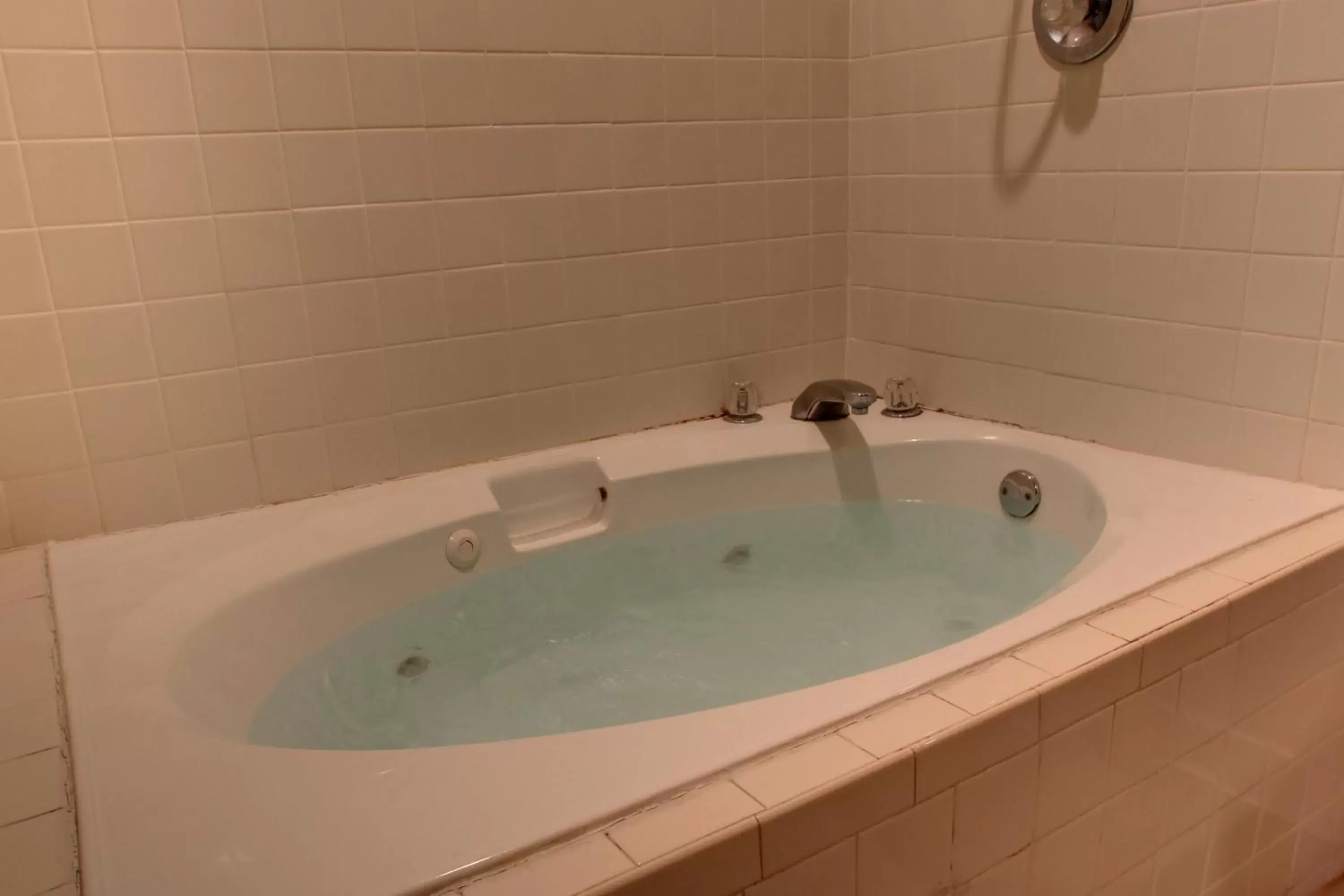 Hot Tub, Bathroom in Key West Inn - Baxley