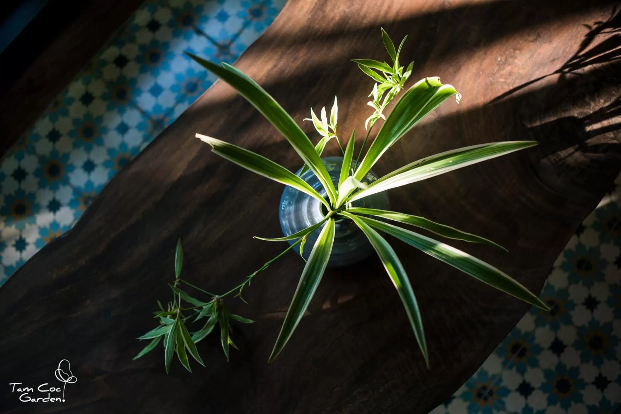 Bedroom in Tam Coc Garden Resort