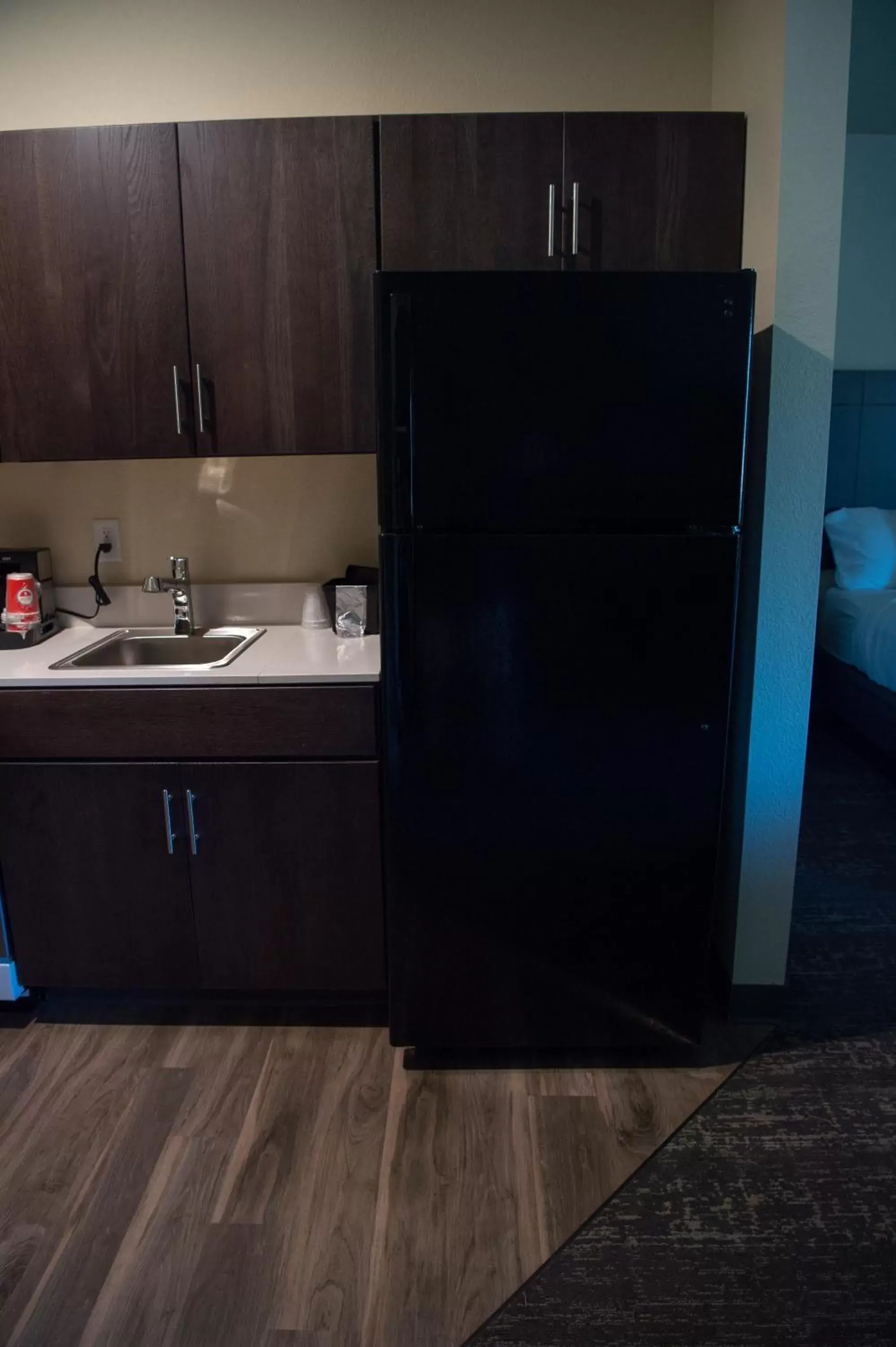 Kitchen or kitchenette, Bathroom in Cobblestone Inn & Suites - Forest City