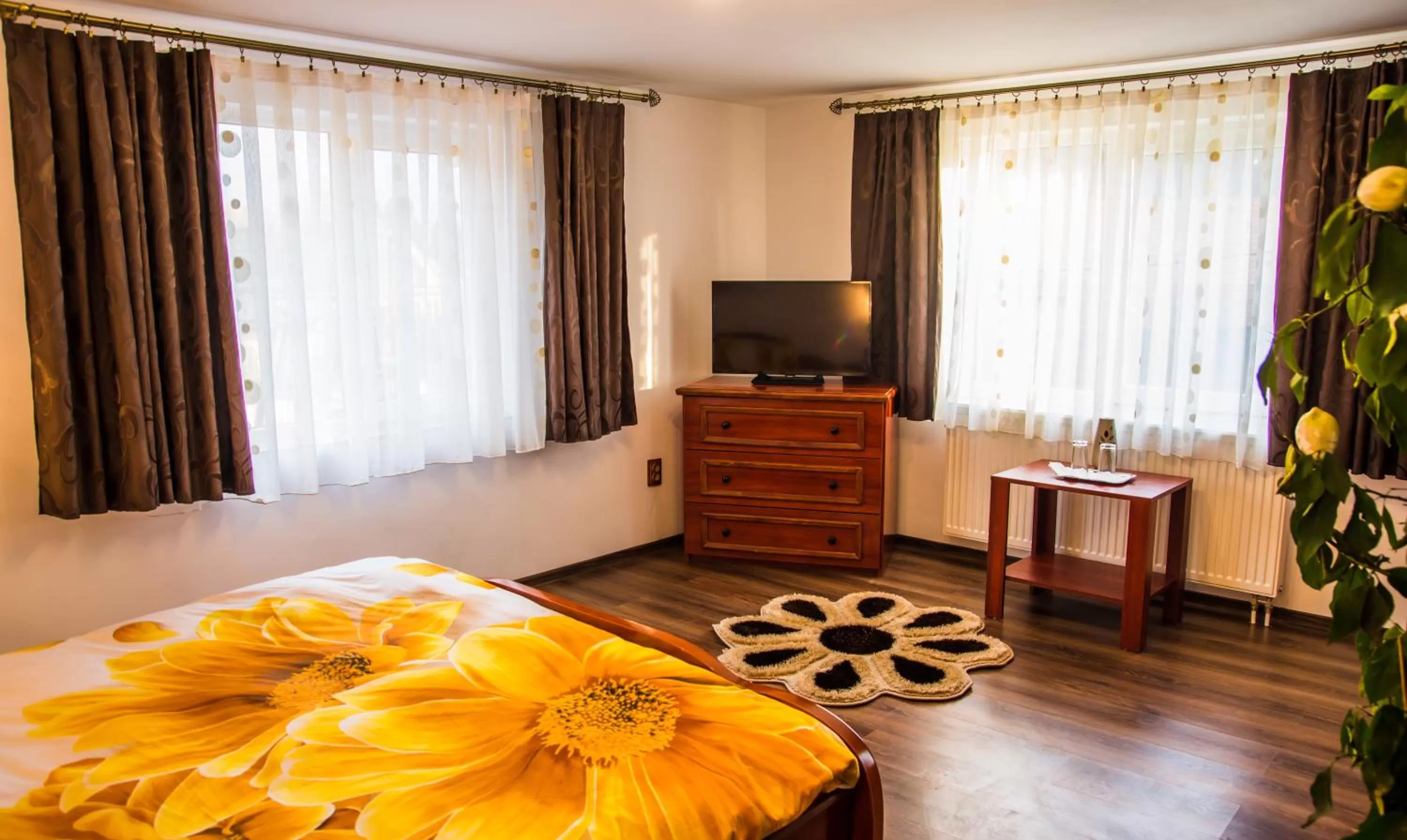 Property building, TV/Entertainment Center in Pensiunea SilvAnka