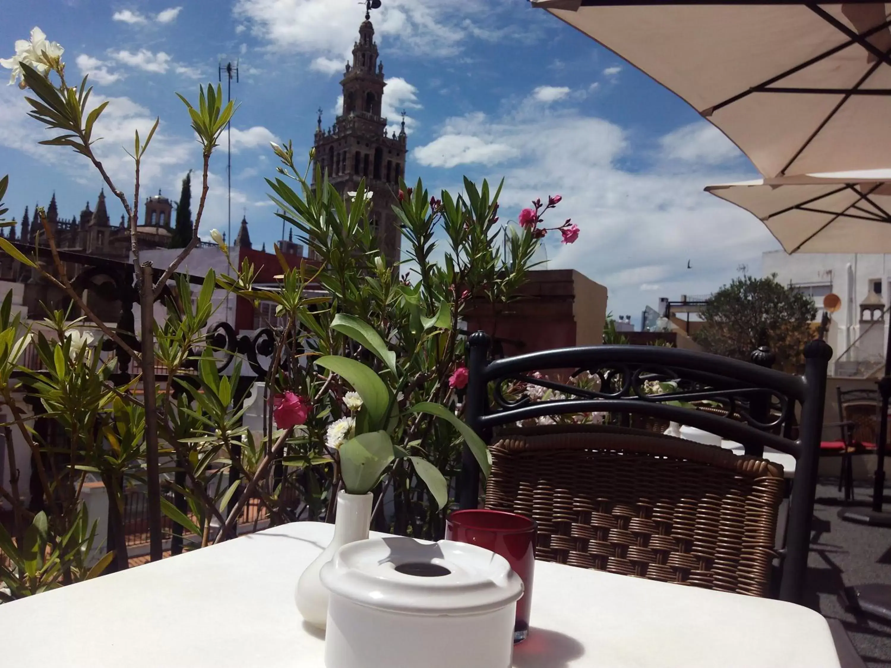 Day, Patio/Outdoor Area in Hotel Palacio Alcázar