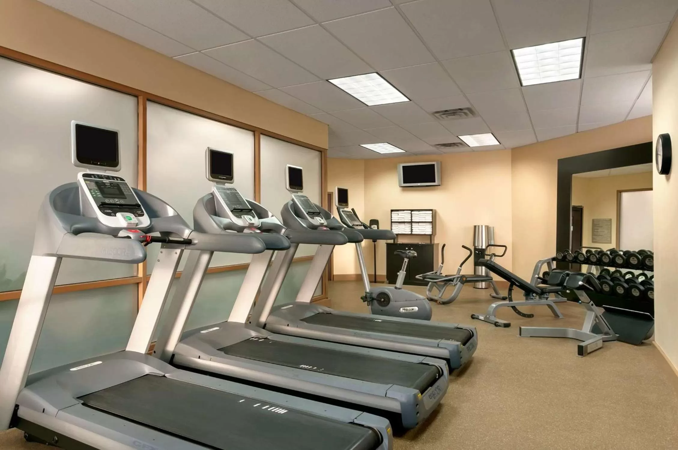 Fitness centre/facilities in Embassy Suites by Hilton Chicago North Shore Deerfield
