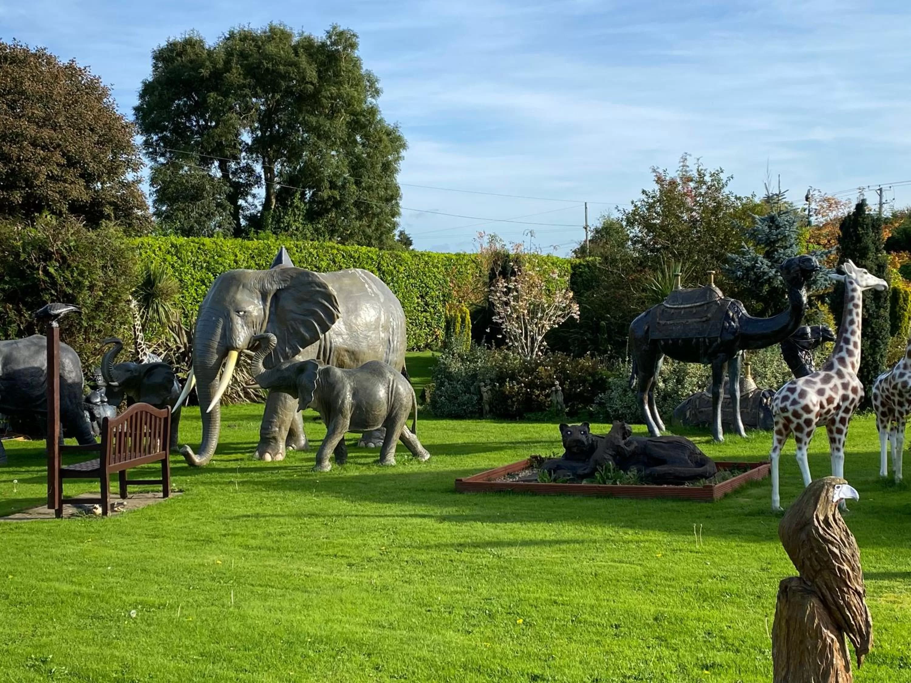 Garden in The Hilltop Haven