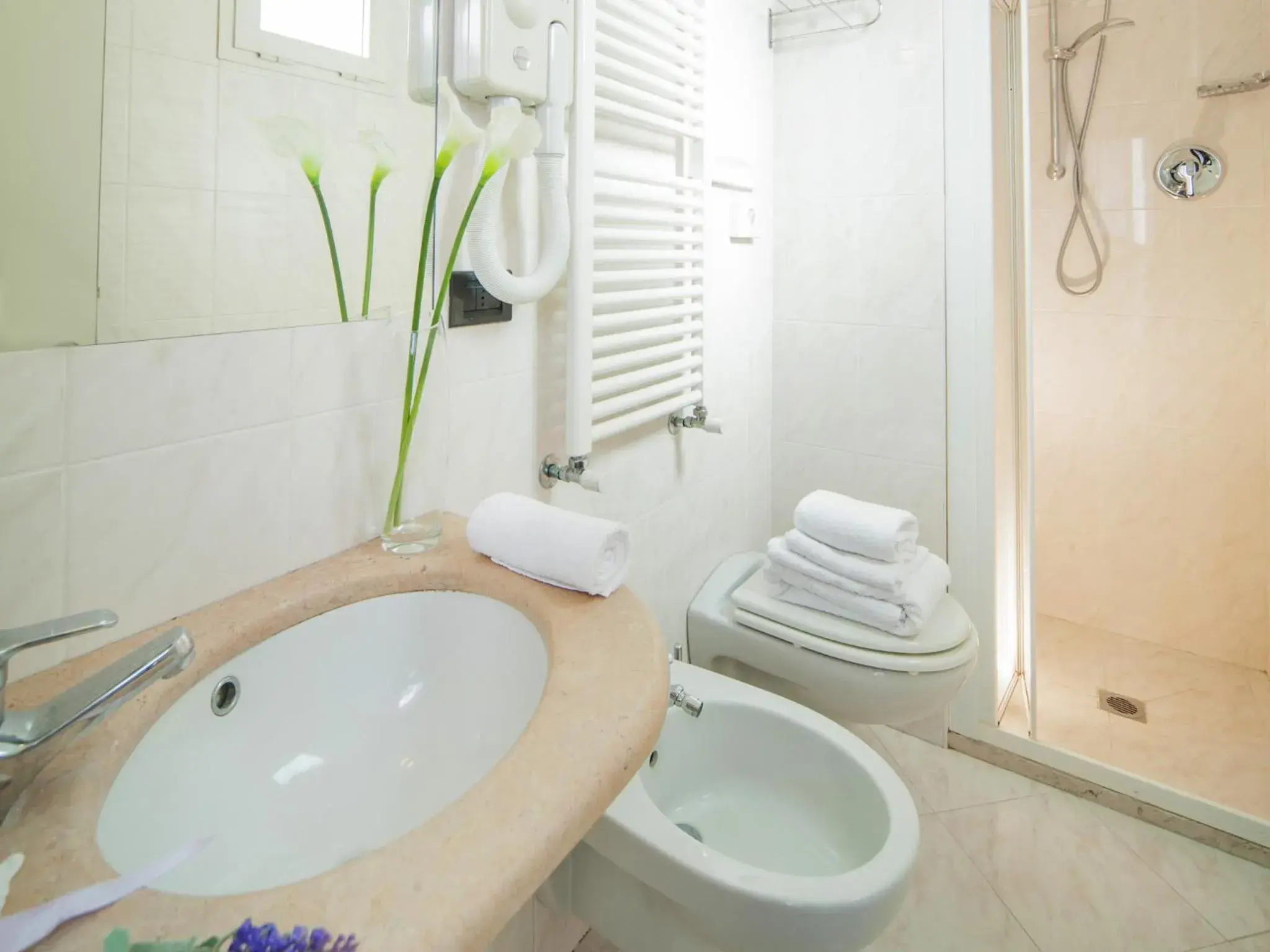 Decorative detail, Bathroom in Hotel Levante