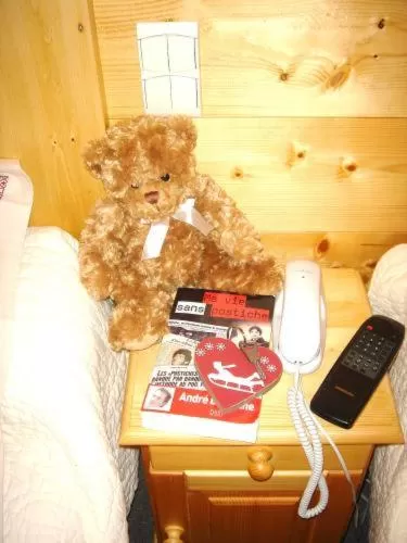 Other in Hôtel Les Glaciers