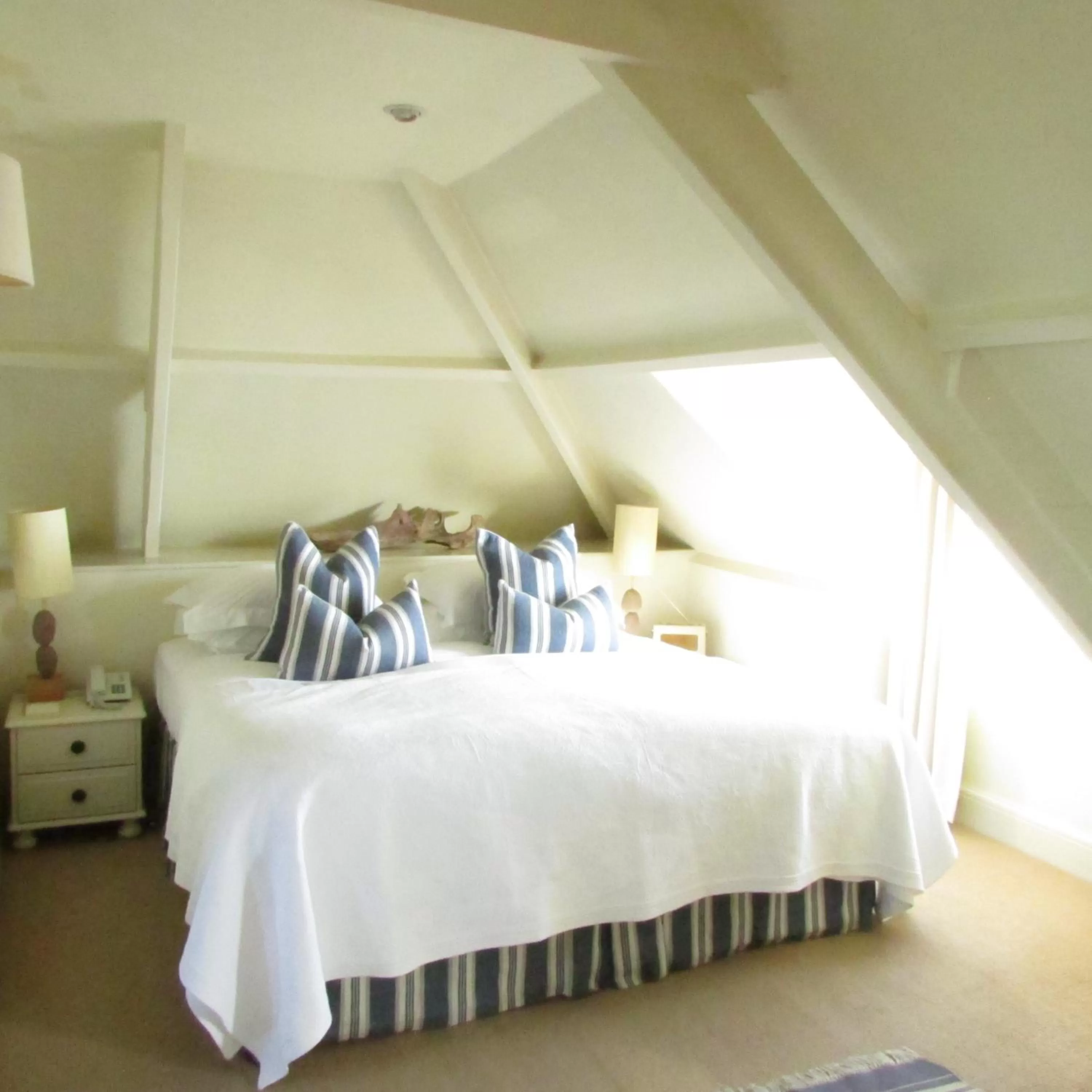 Family in Driftwood B&B